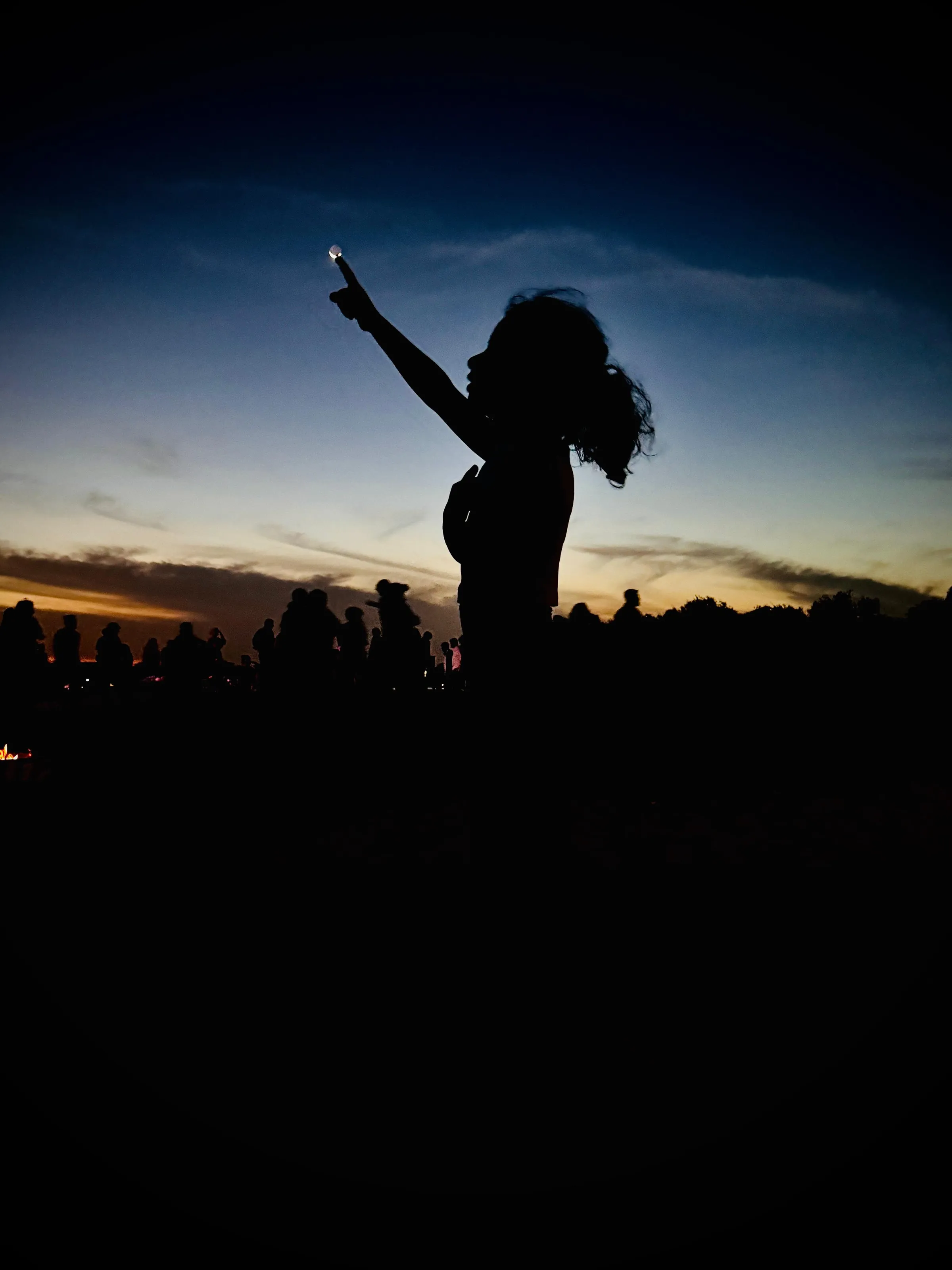 “Sunset Silhouettes”