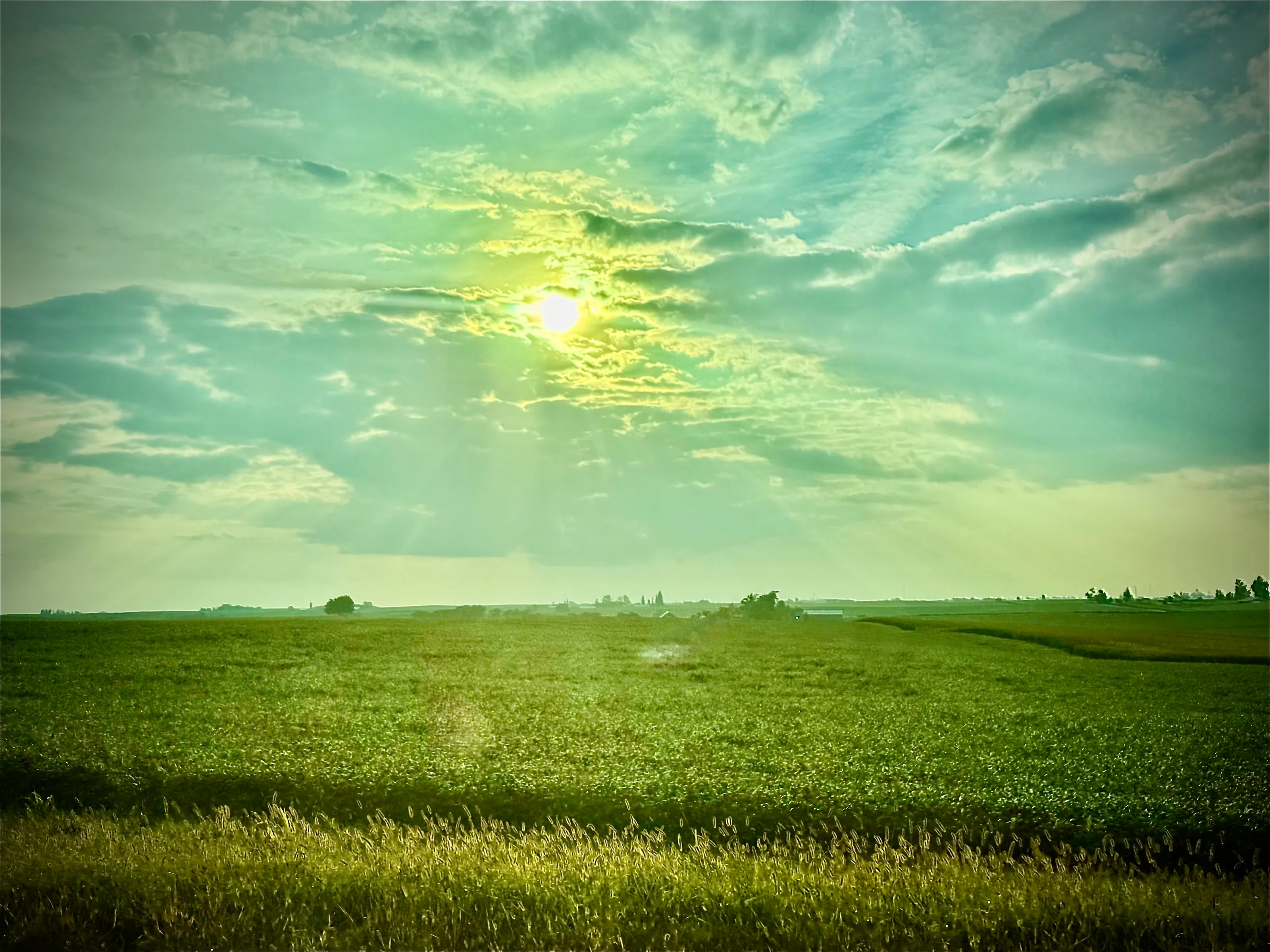 Infinite Field