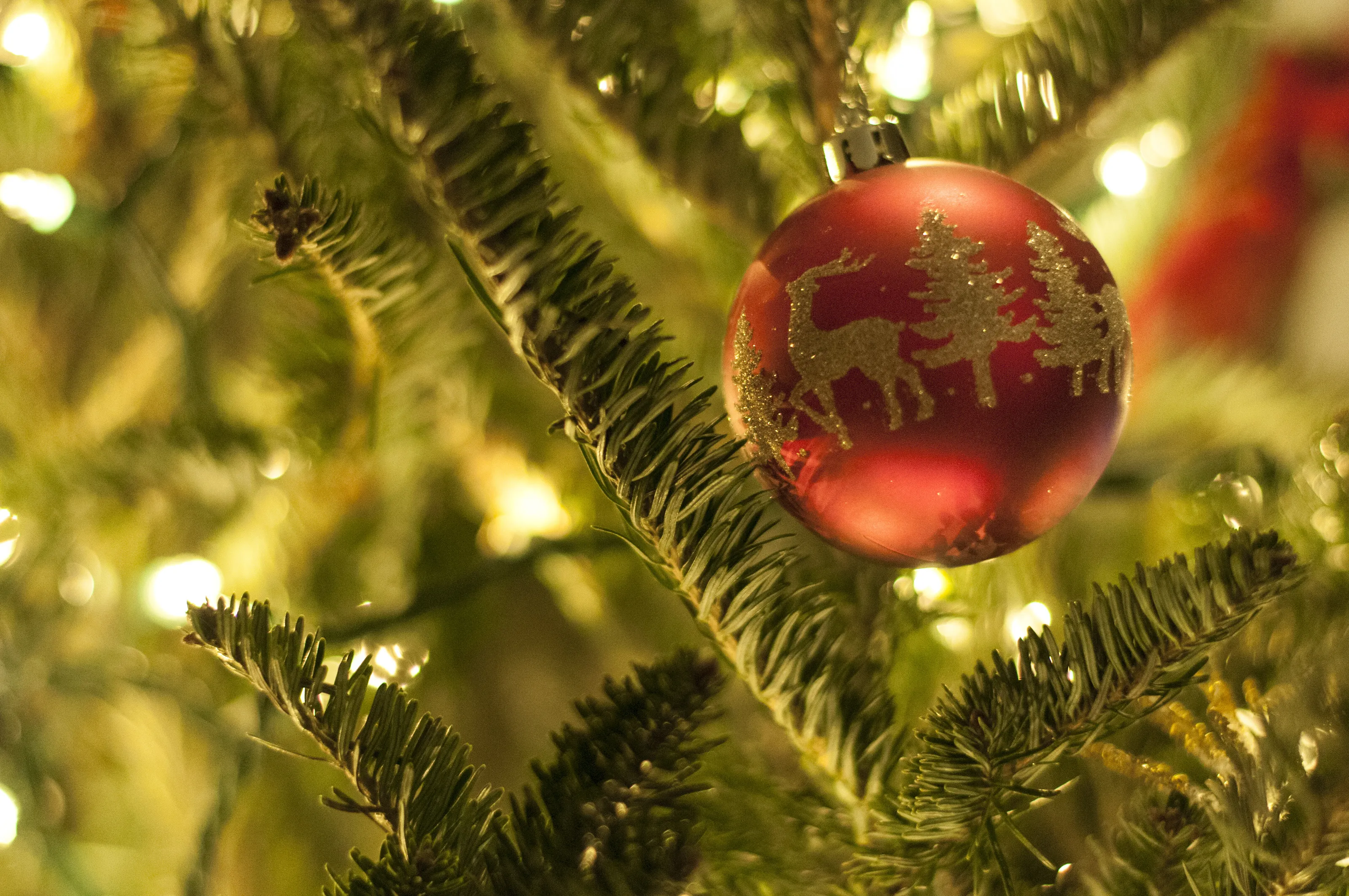 Christmas Decorations