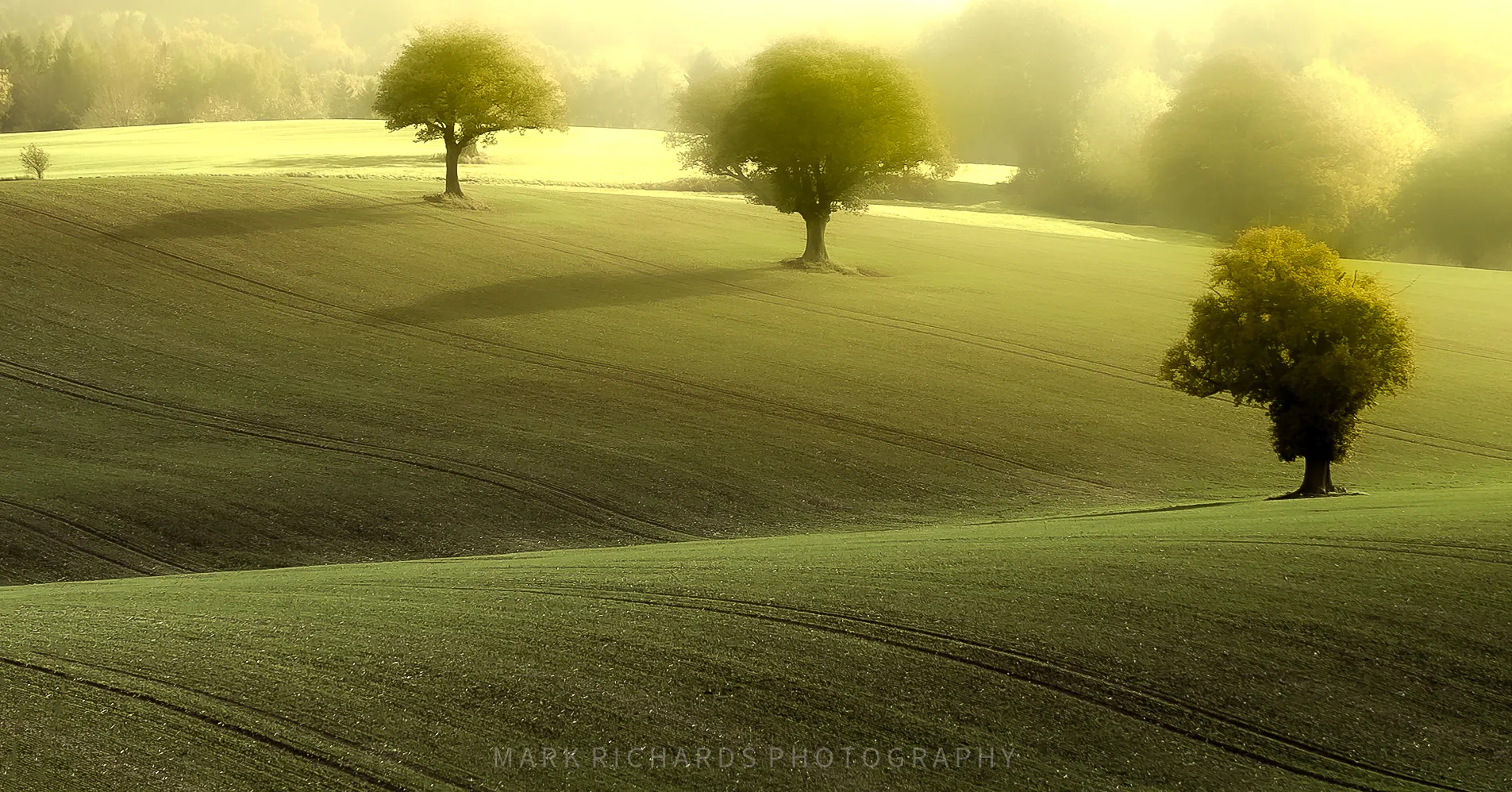 Tuscan Shropshire