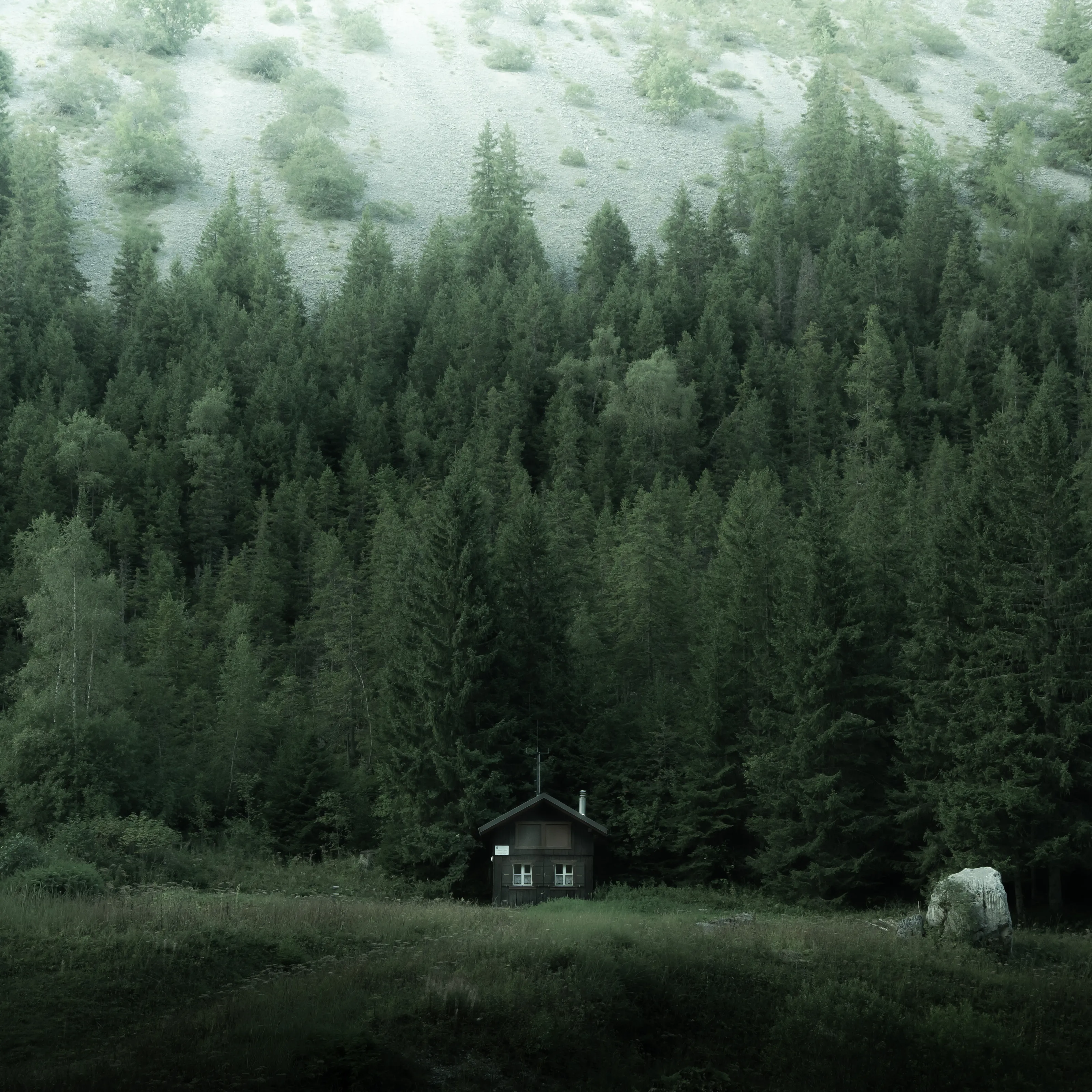 La cabane