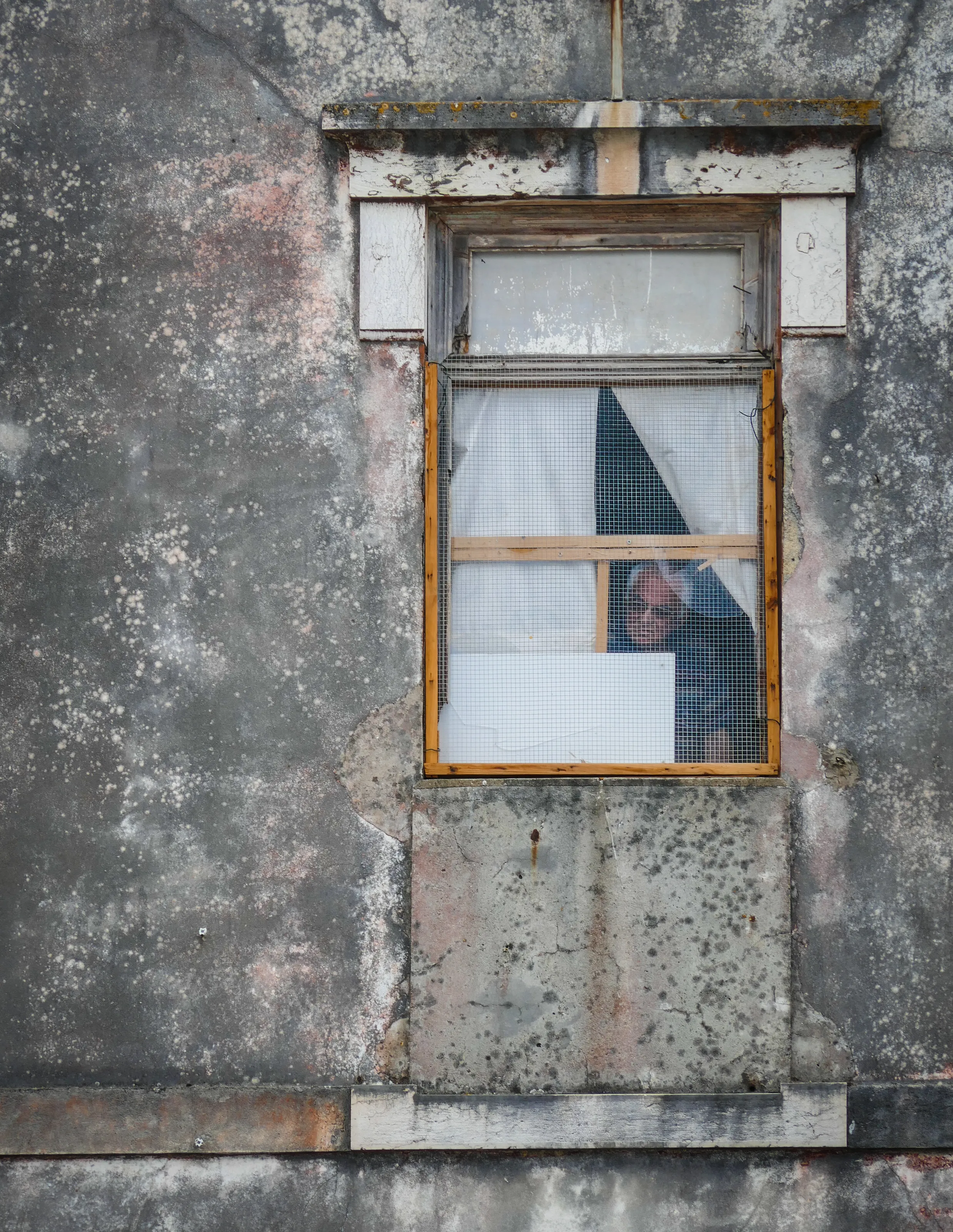 People Looking Through a Window