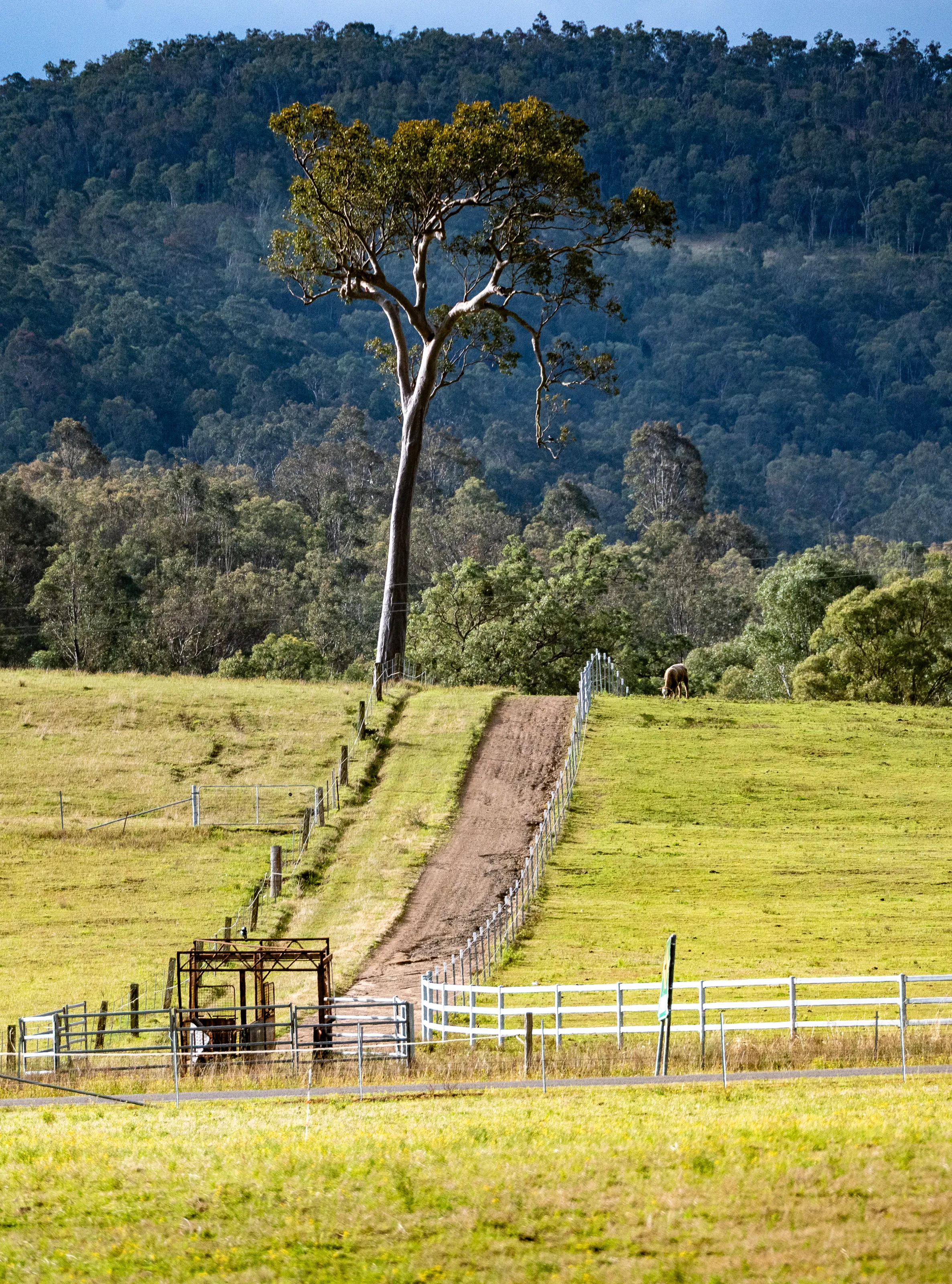 Country Road