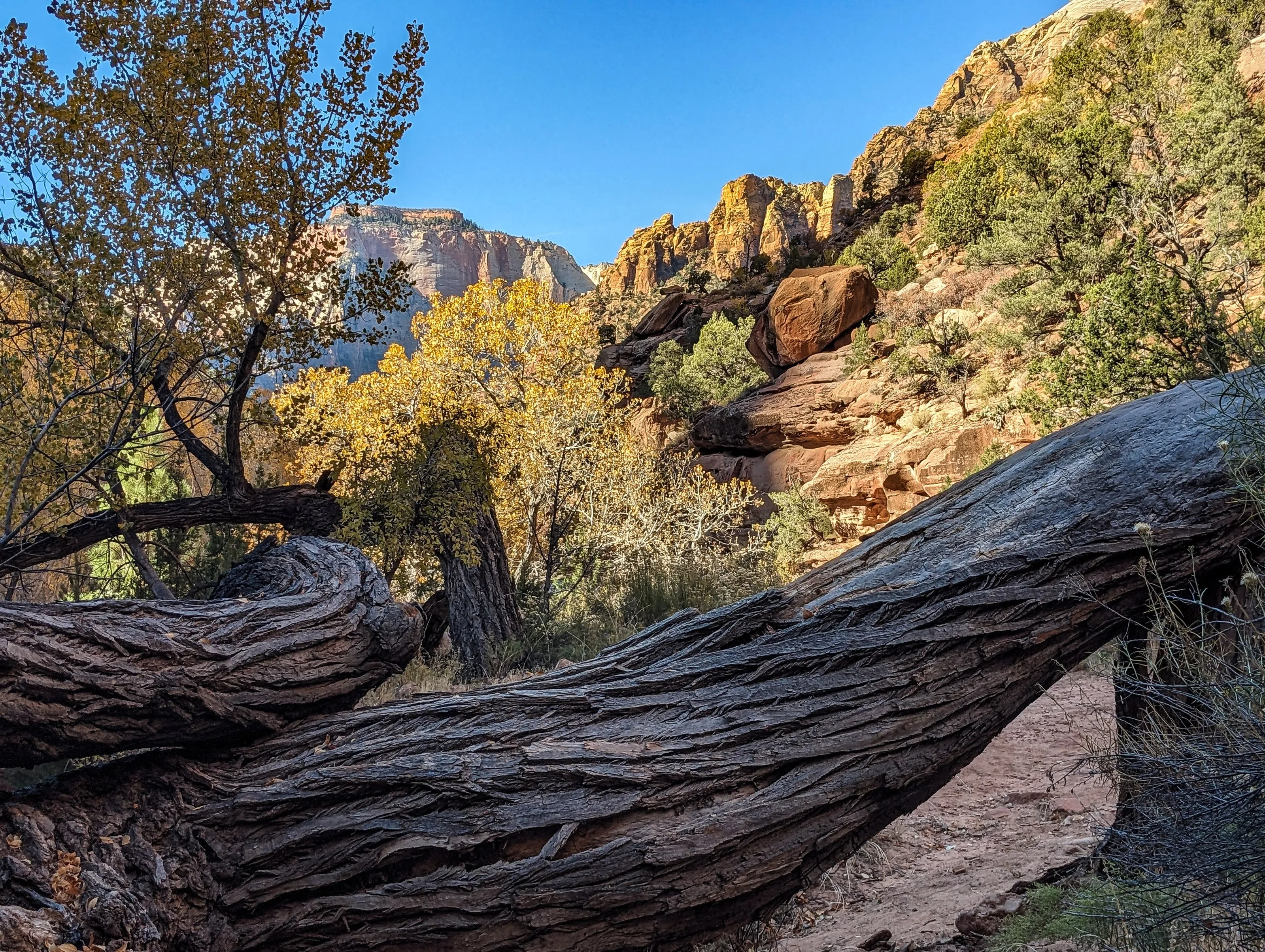 Zion Hiking