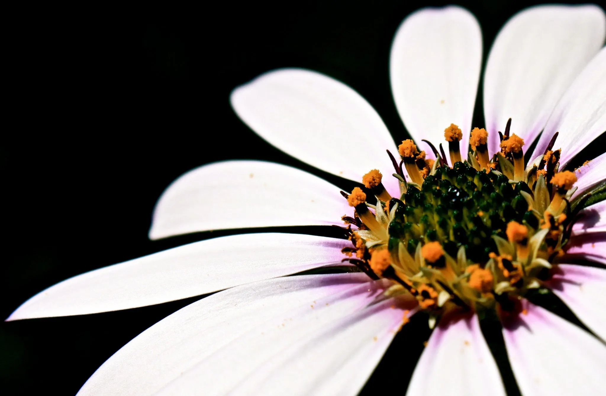 Flower macro