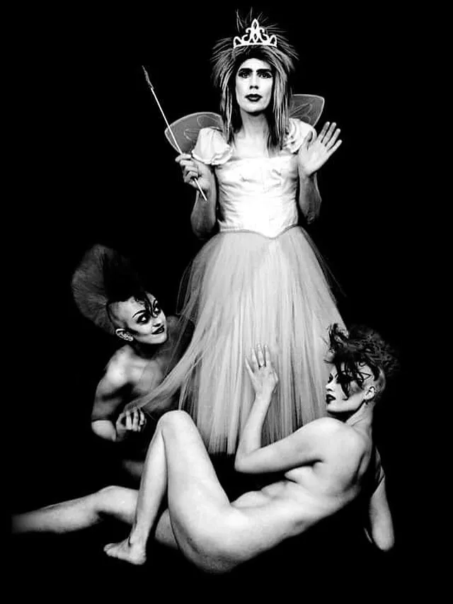 The Fairy & the Pixies No 1