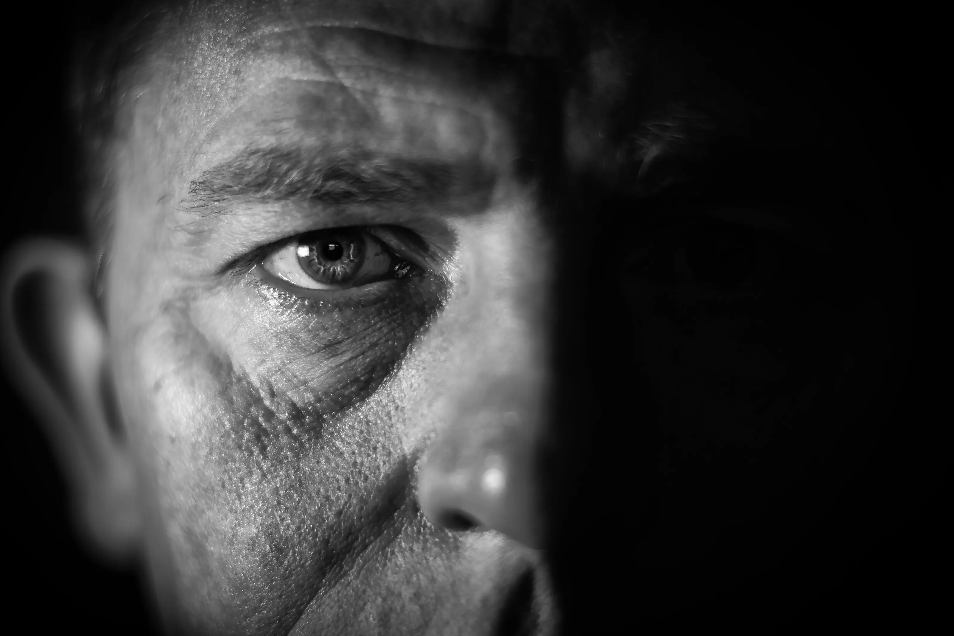 Self Portraits