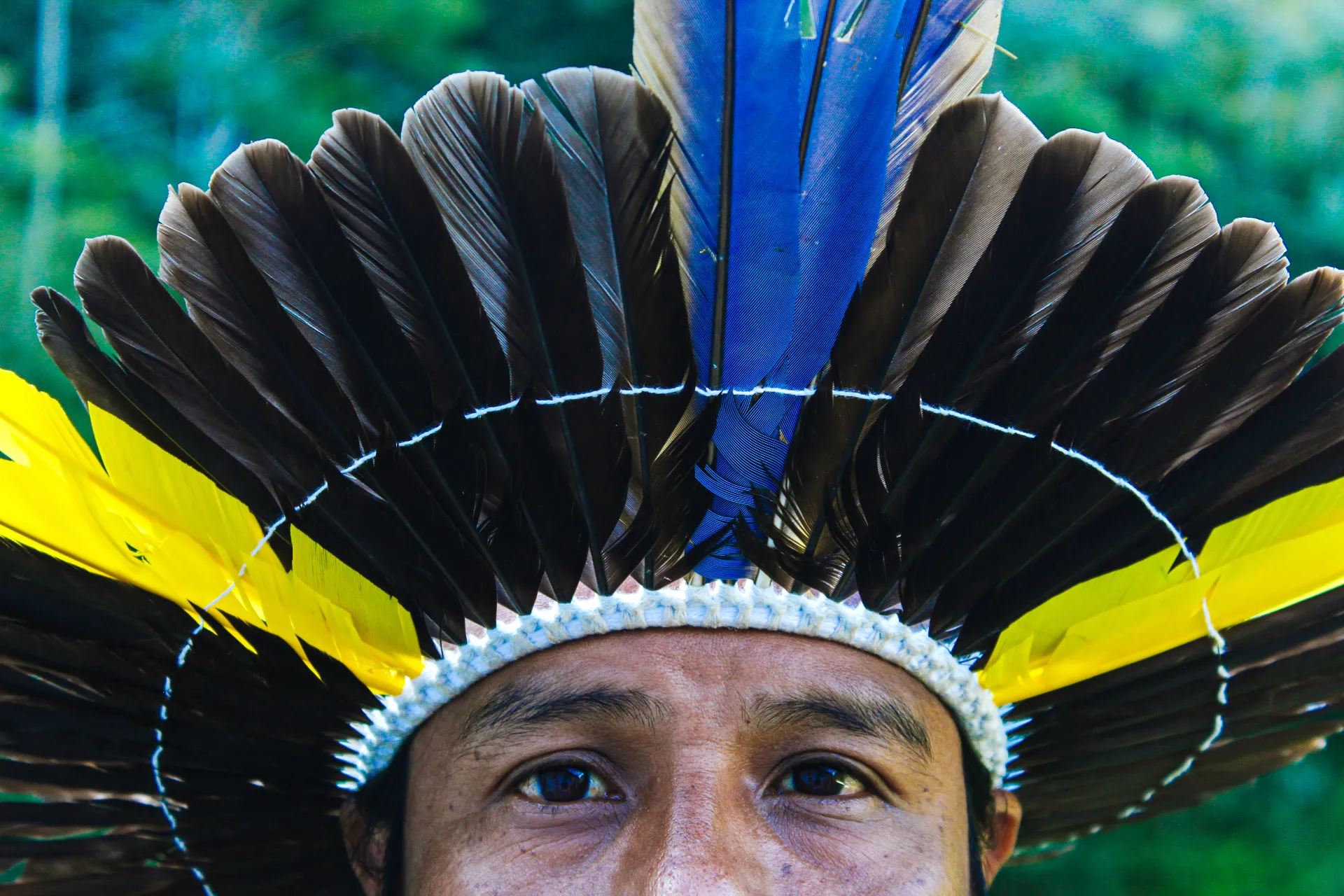 Olhos da Ancestralidade