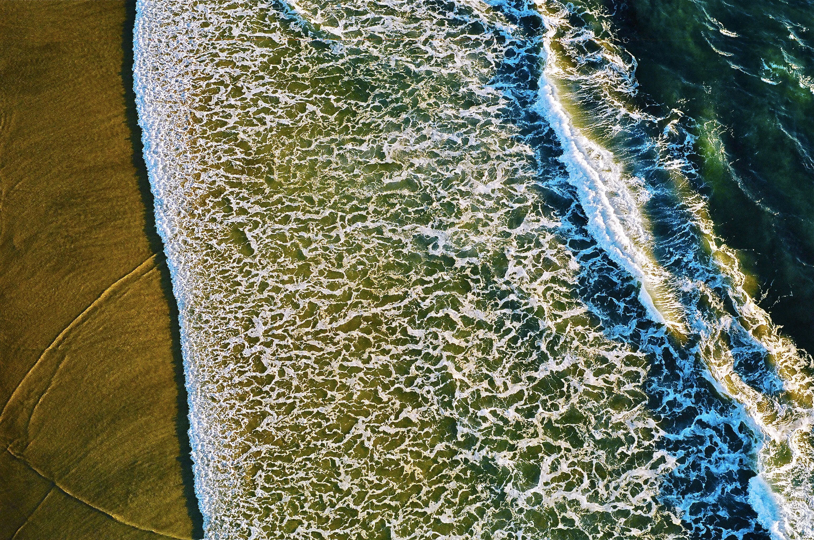 Mexican Shallows