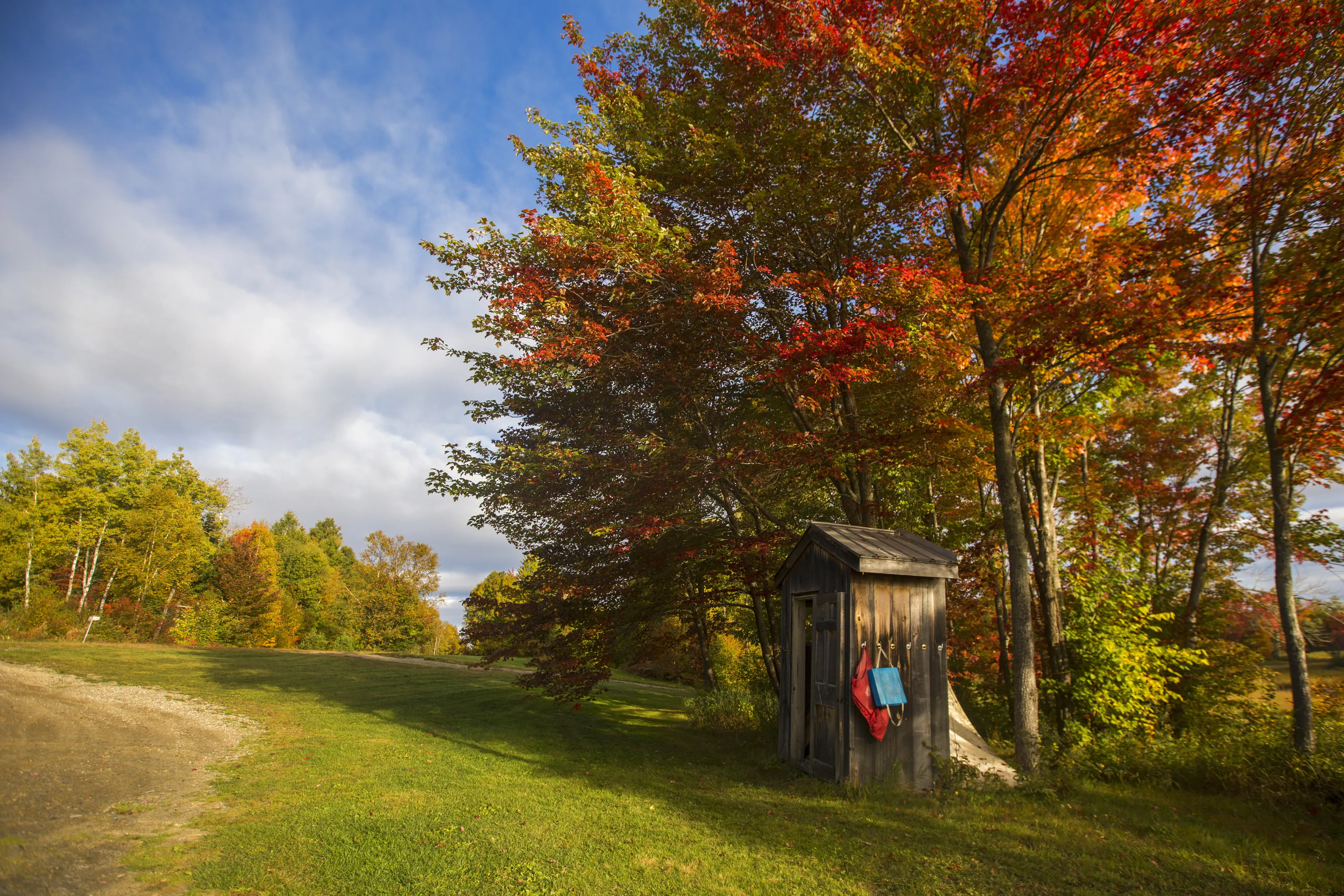 Fall Colour