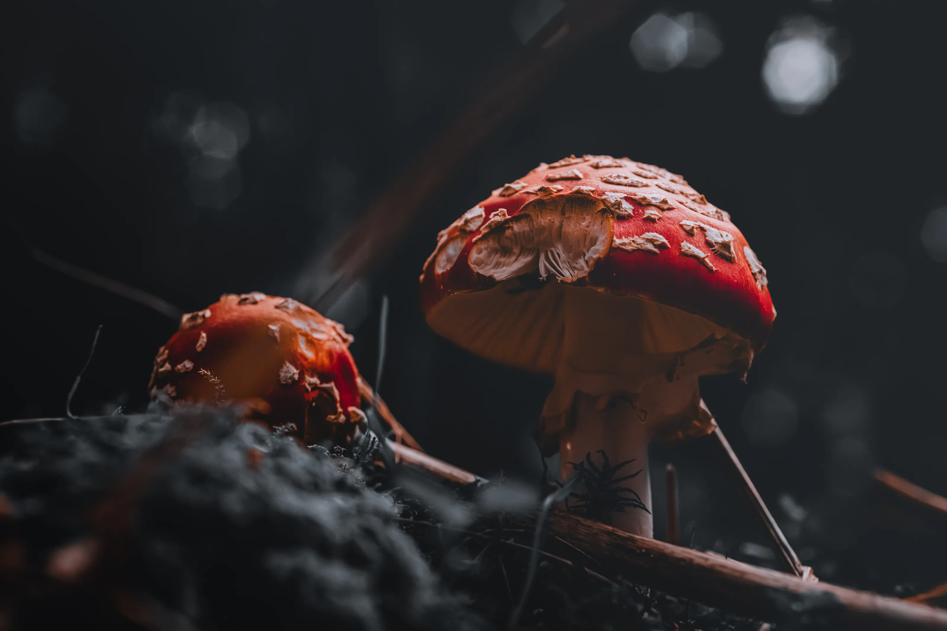 Shelter from the storm
