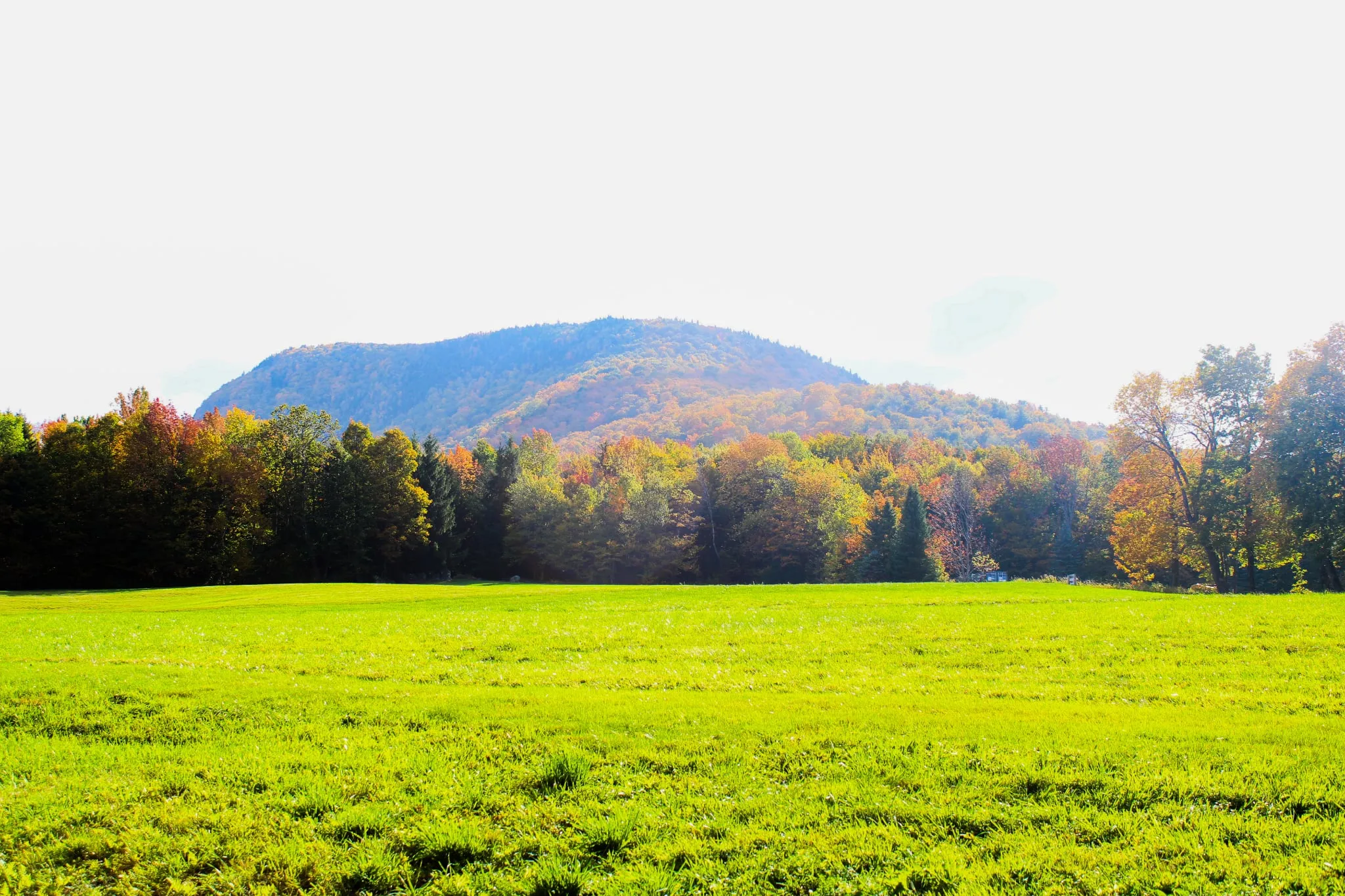 Fall in Vermont