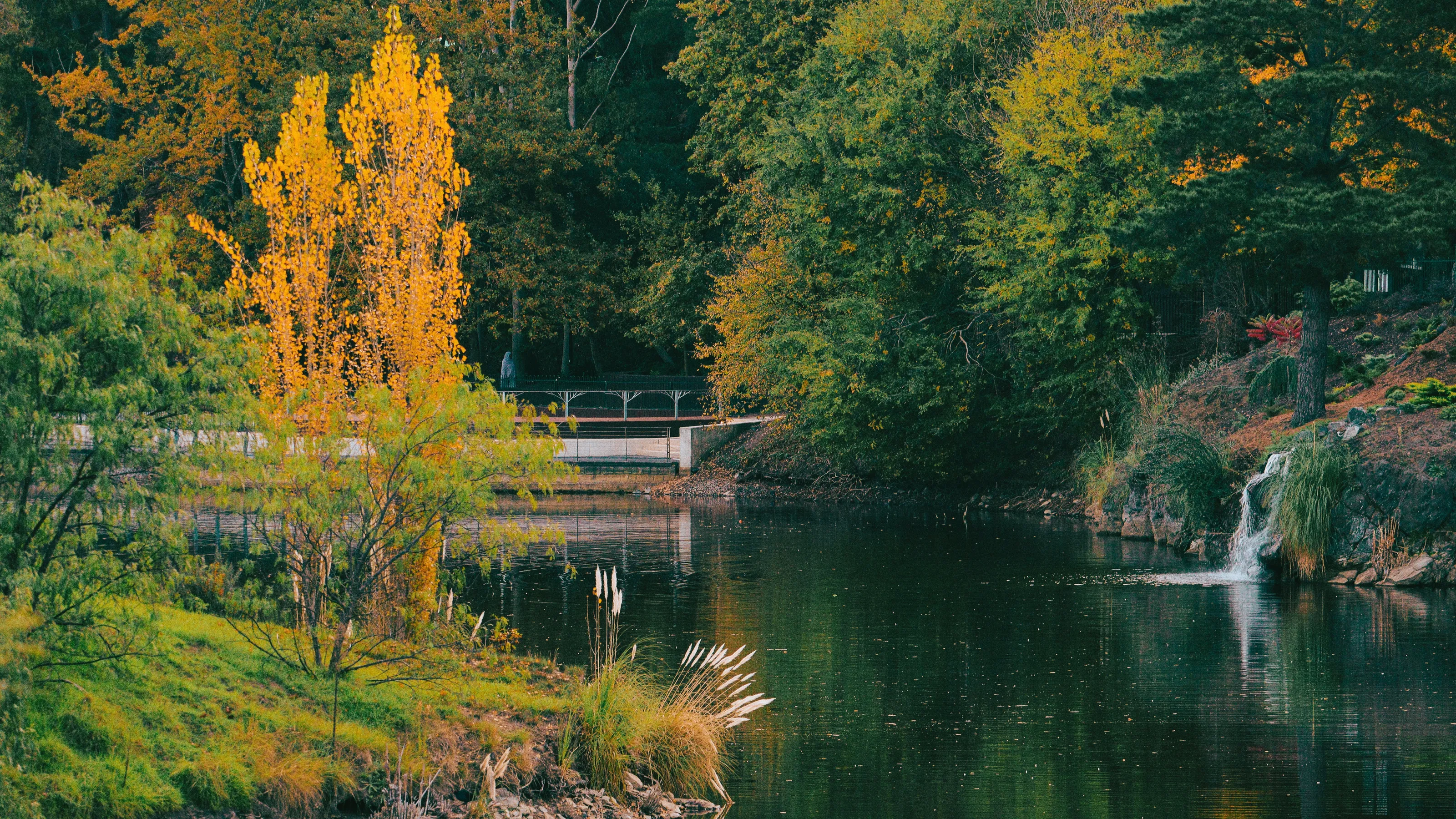 Serenity in green and gold
