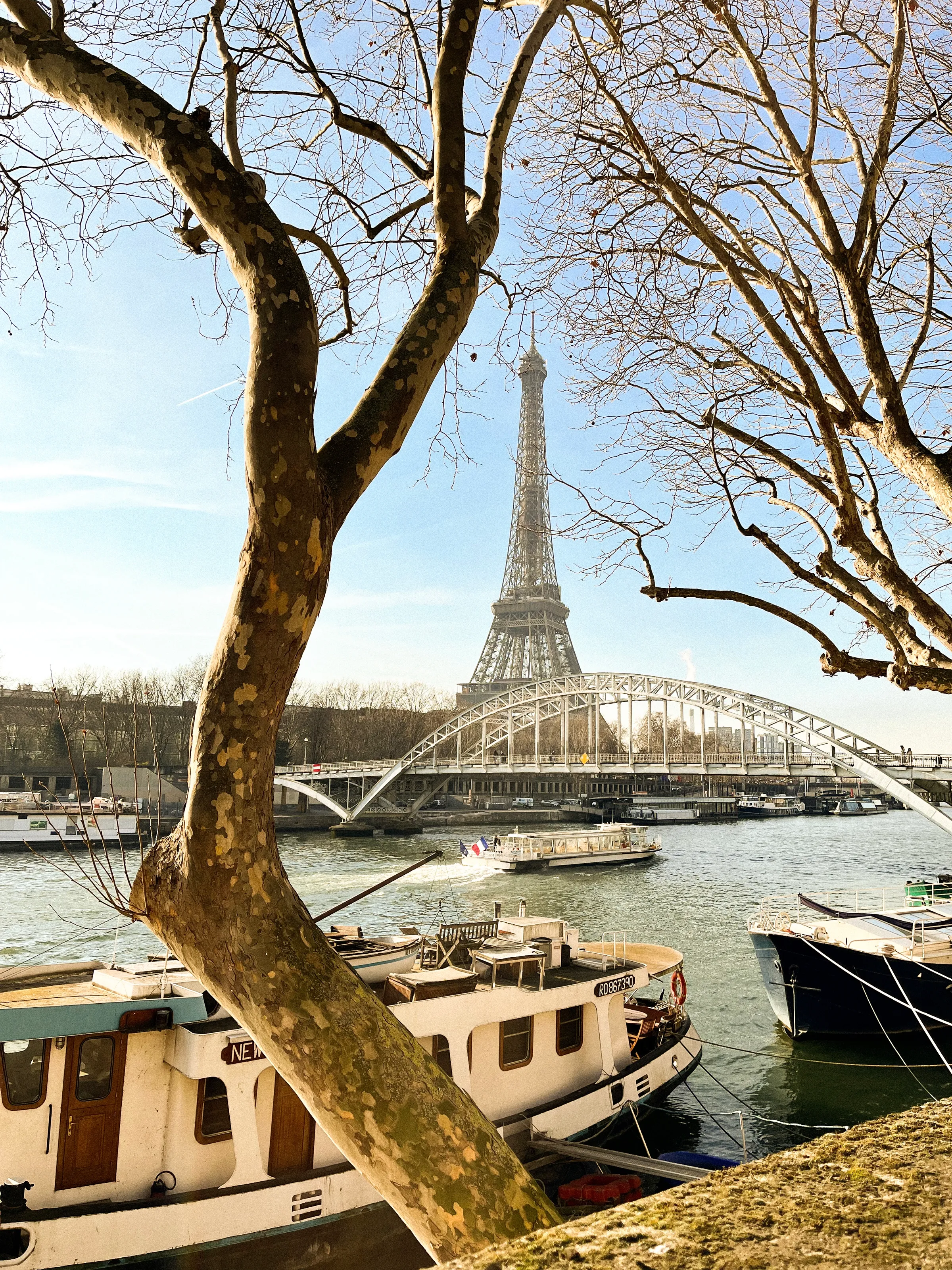 The Eiffel Tower