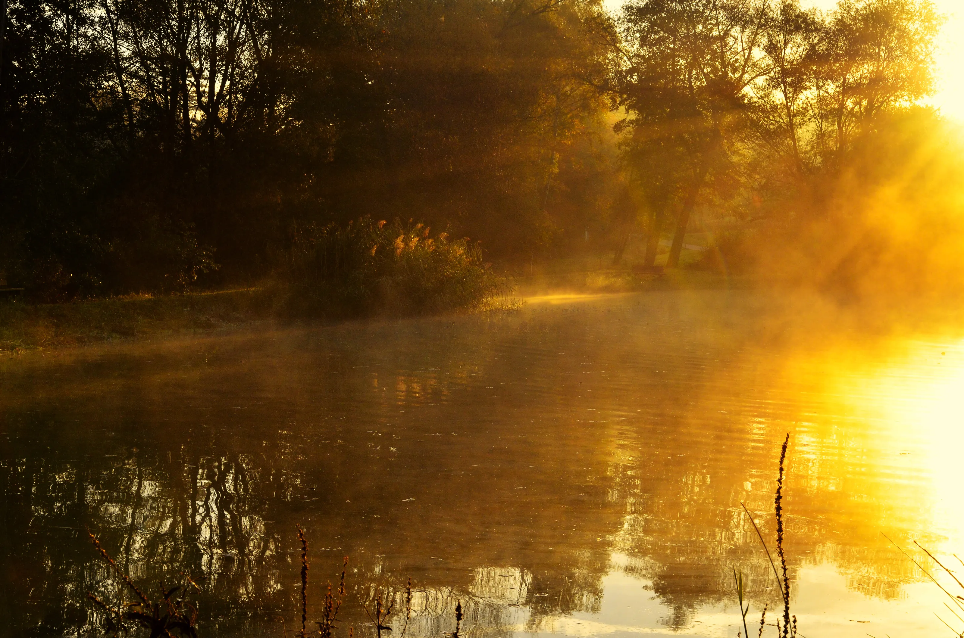 Mist and Fog at Sunrise and Sunset (in colour)