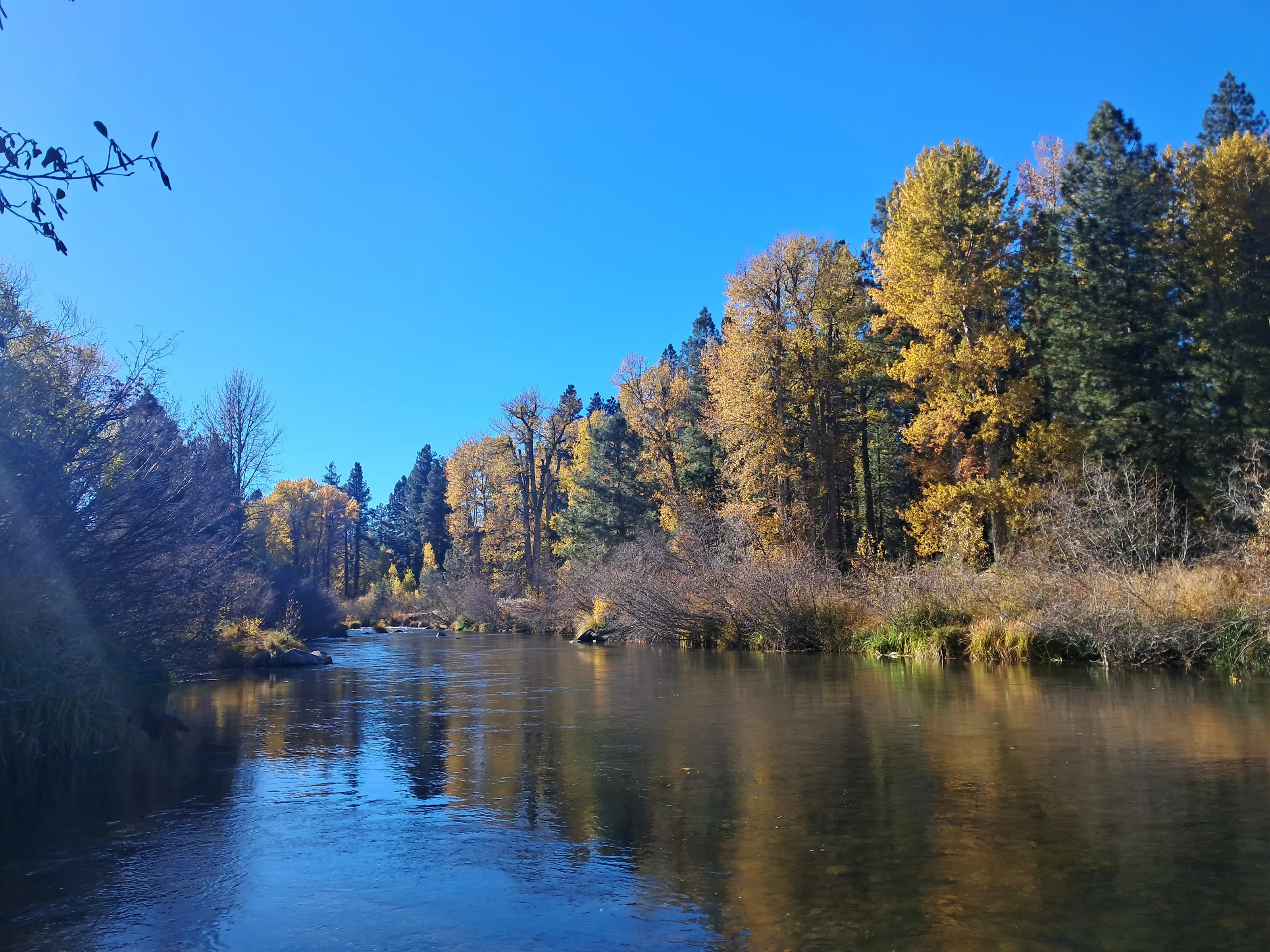the river bend
