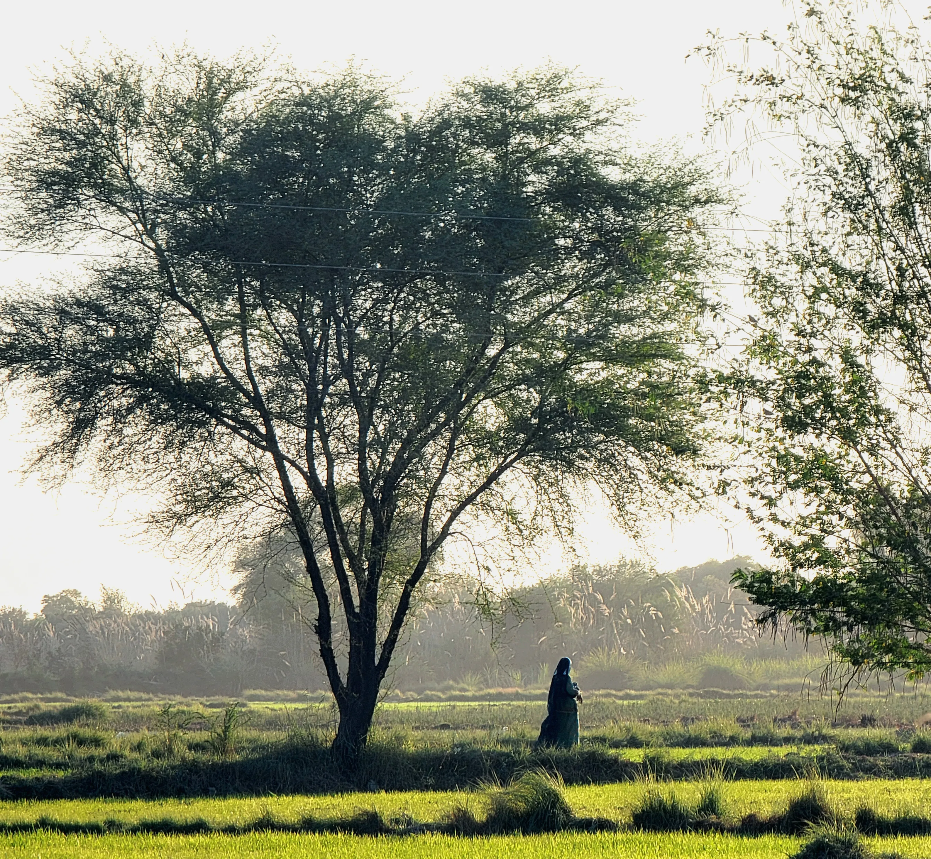 Dusk Descends on the Agricultural Fields