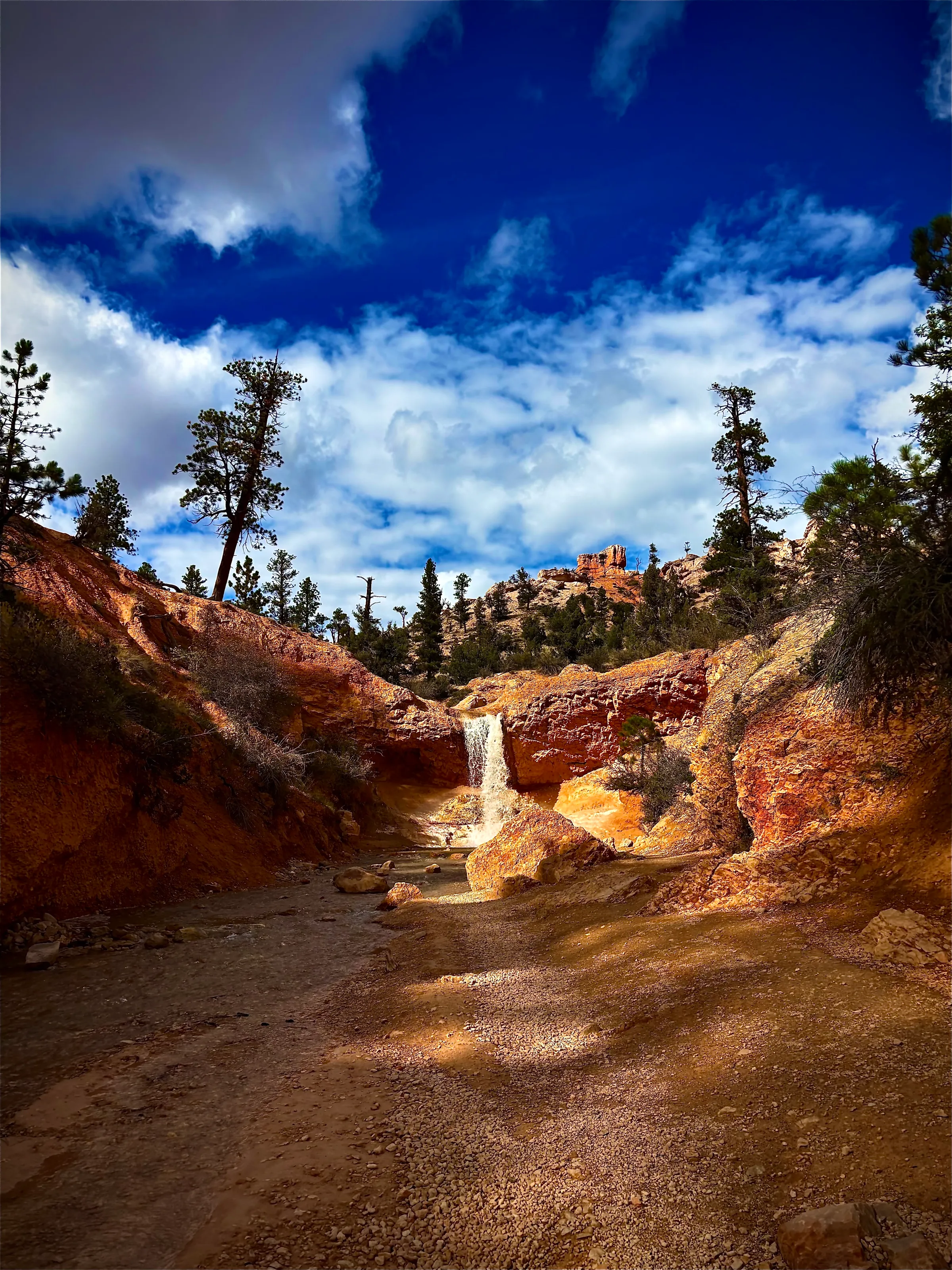 Mossy Cave Trail Waterfall