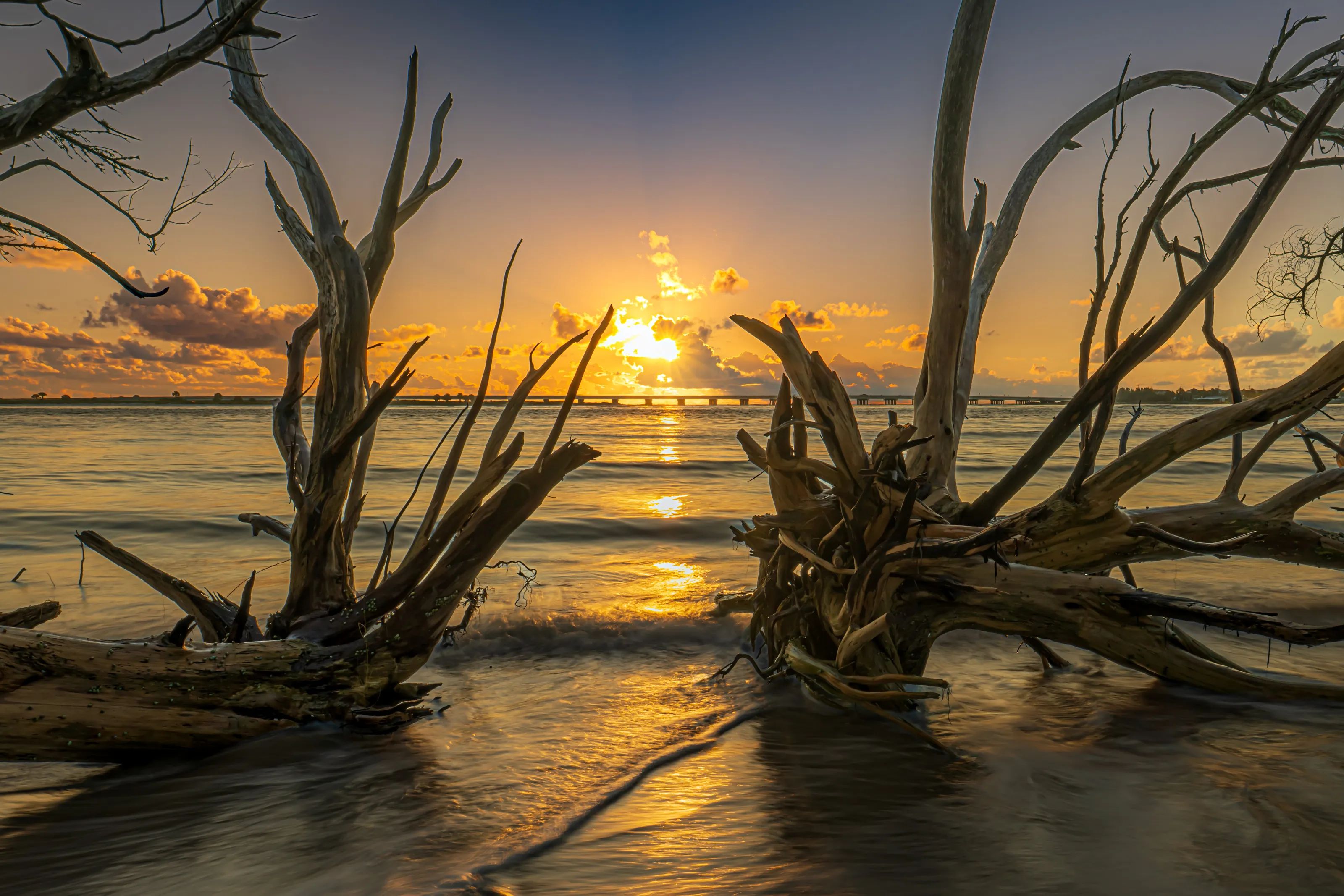 Driftwood sunrise in Matanzas Inlet, Florida