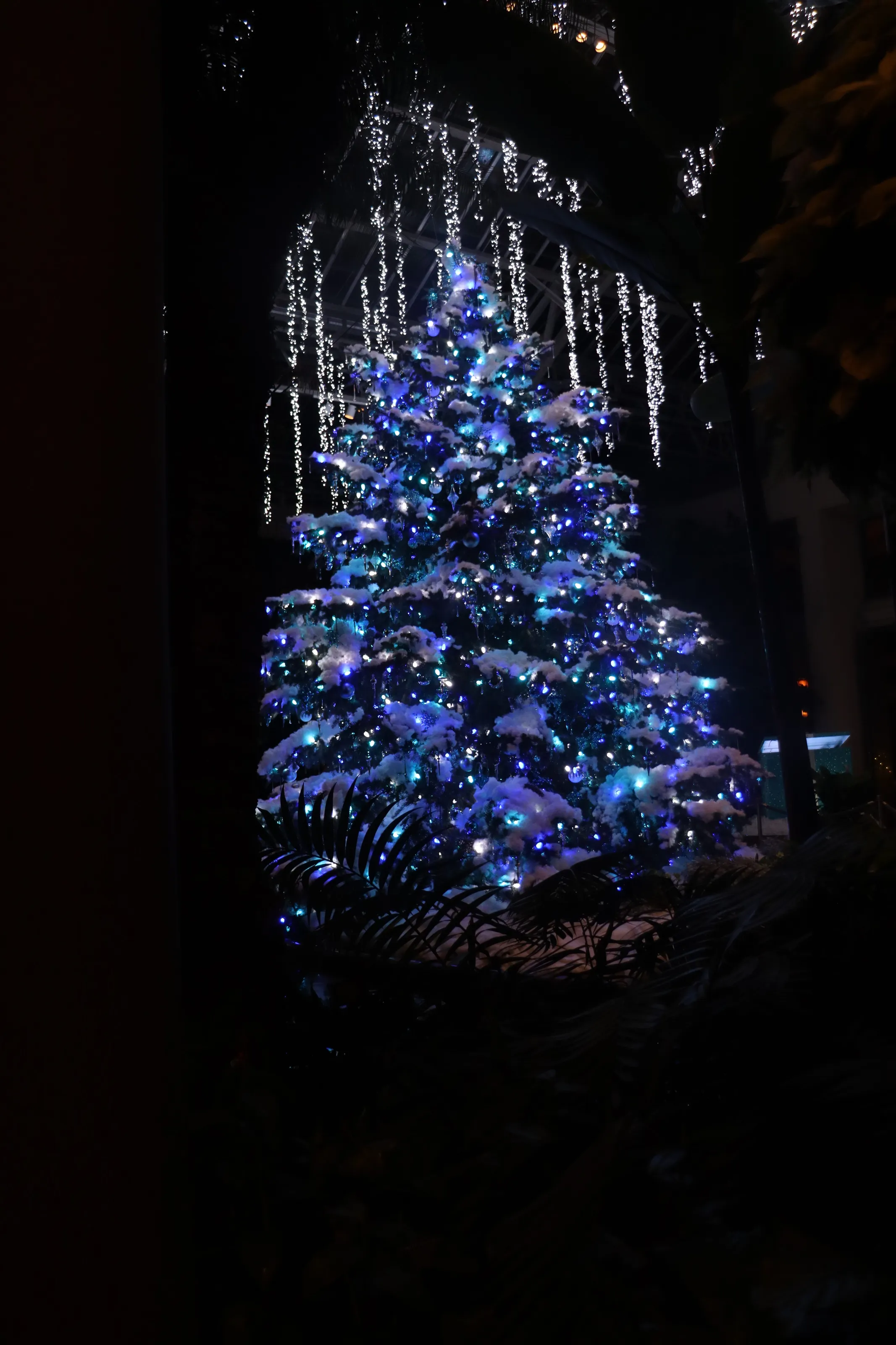 Christmas time