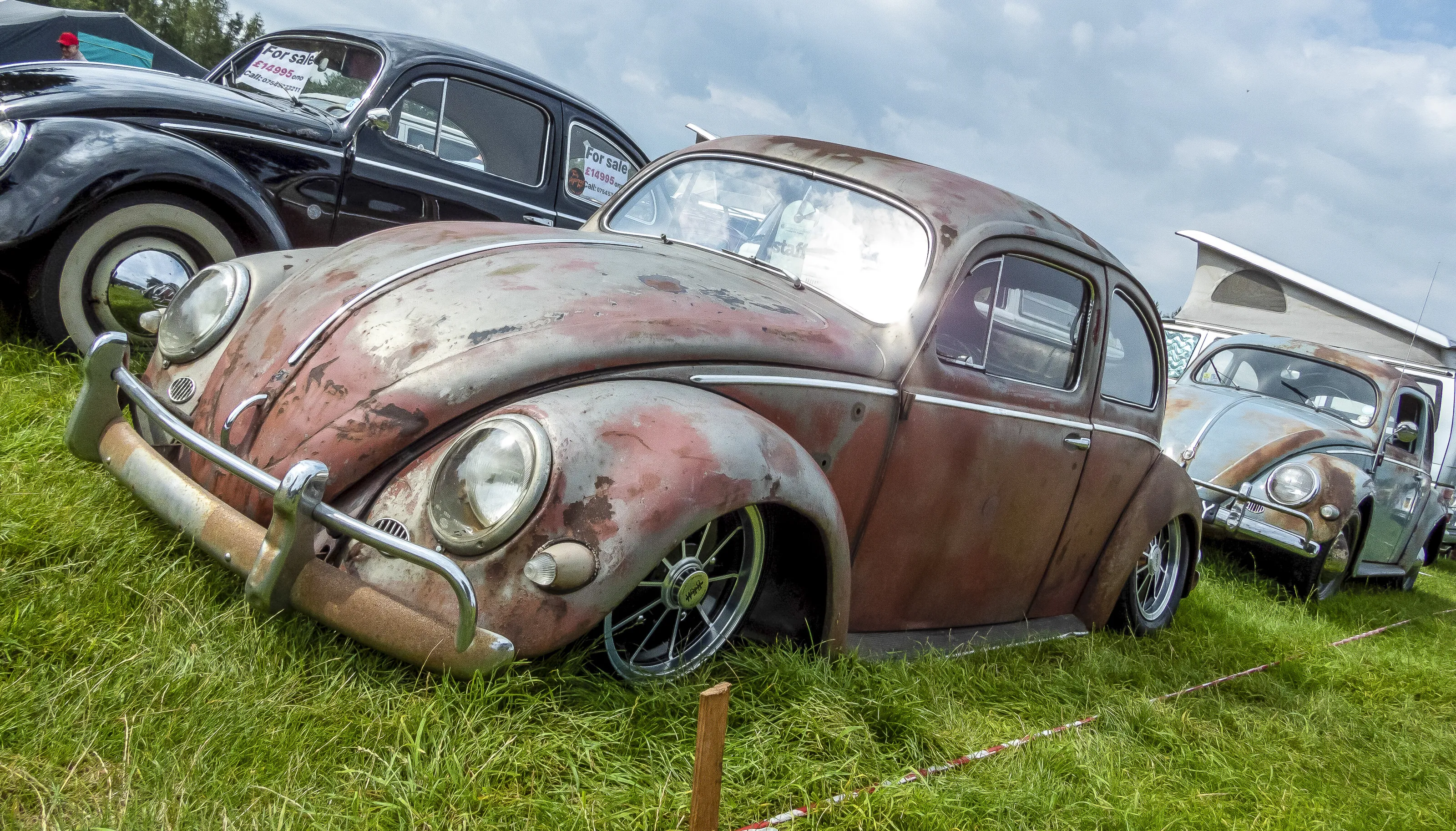 Volkswagen Vehicles