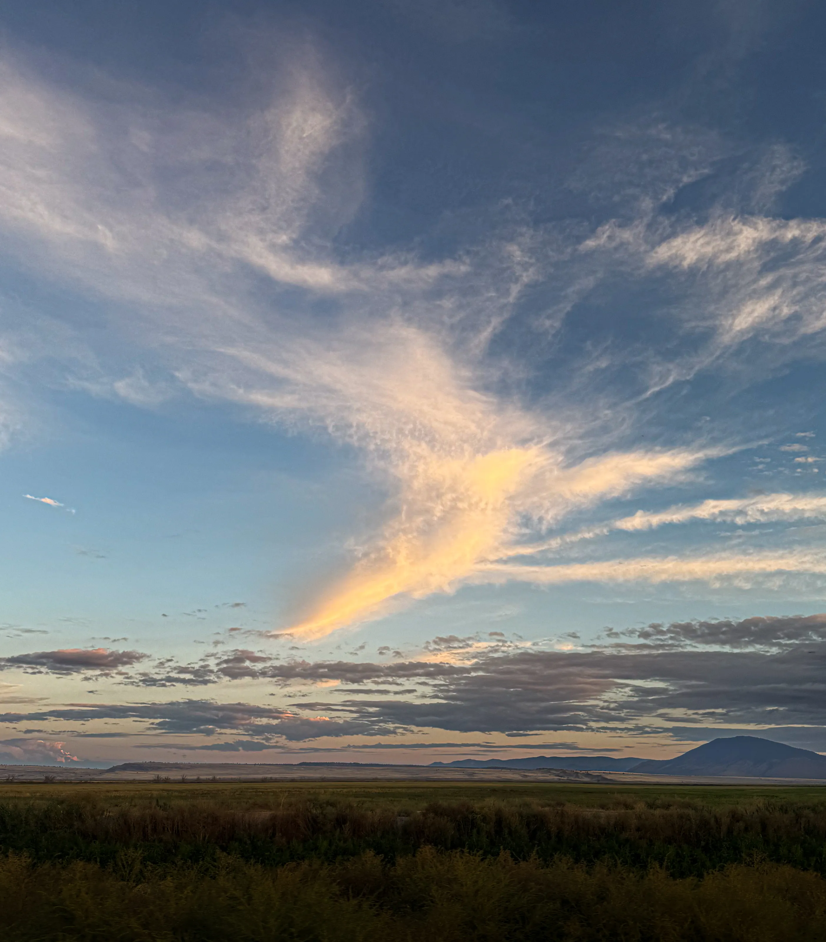 Angel in the sky