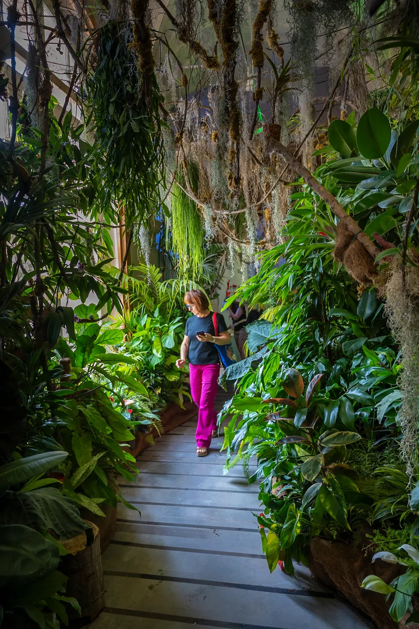 Entry 25726589