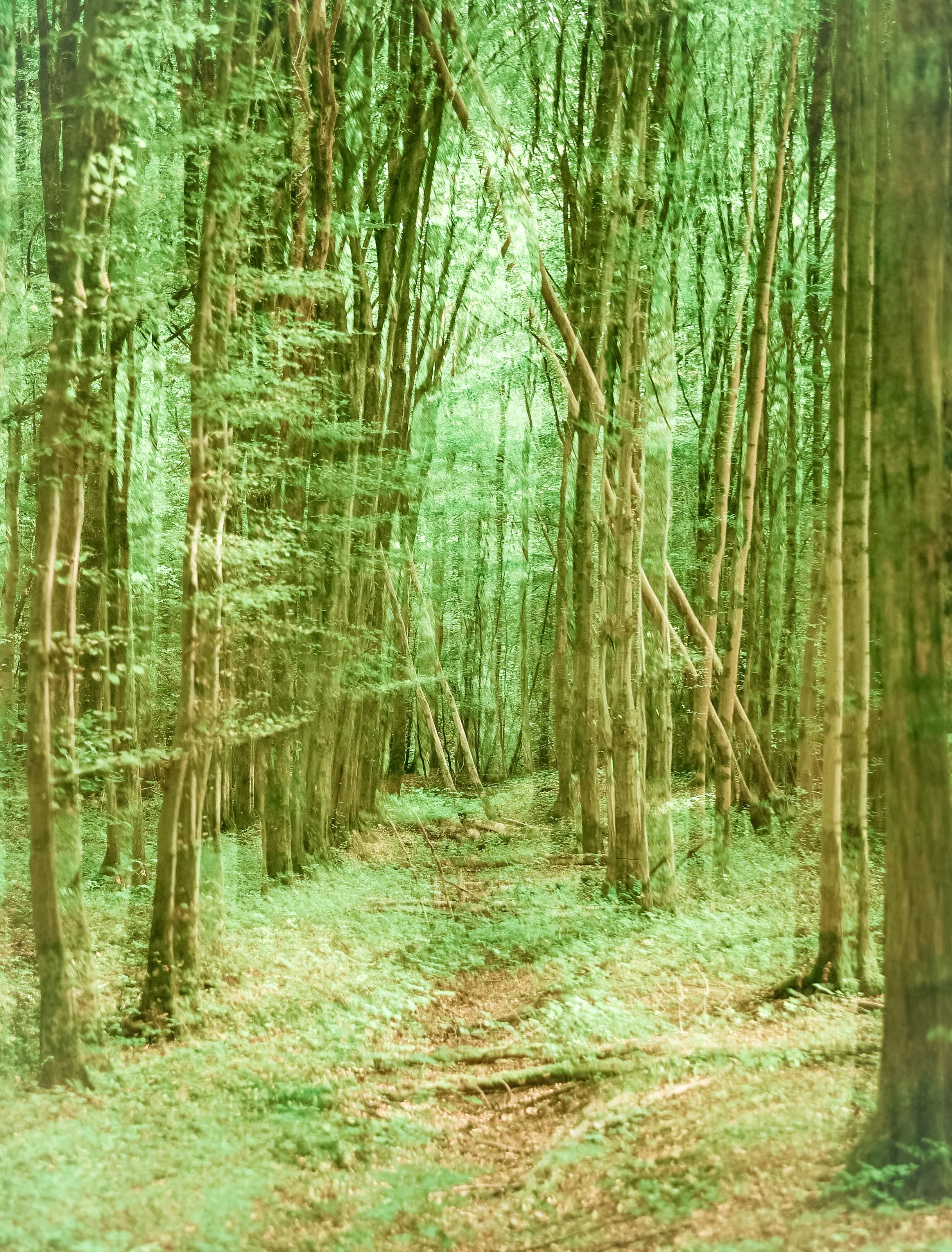 The art of Naturr