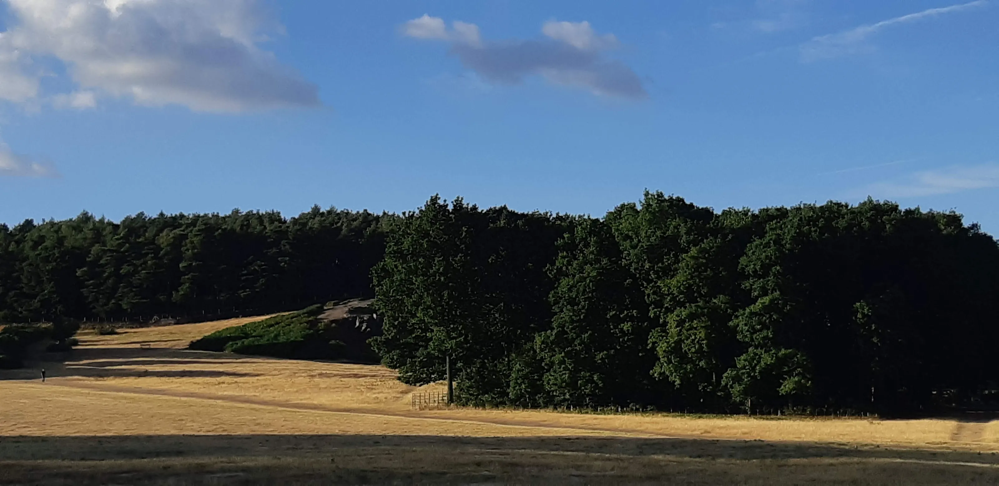 Bradgate Park Leicester