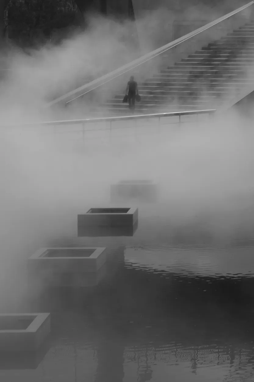 Entry 26857948
