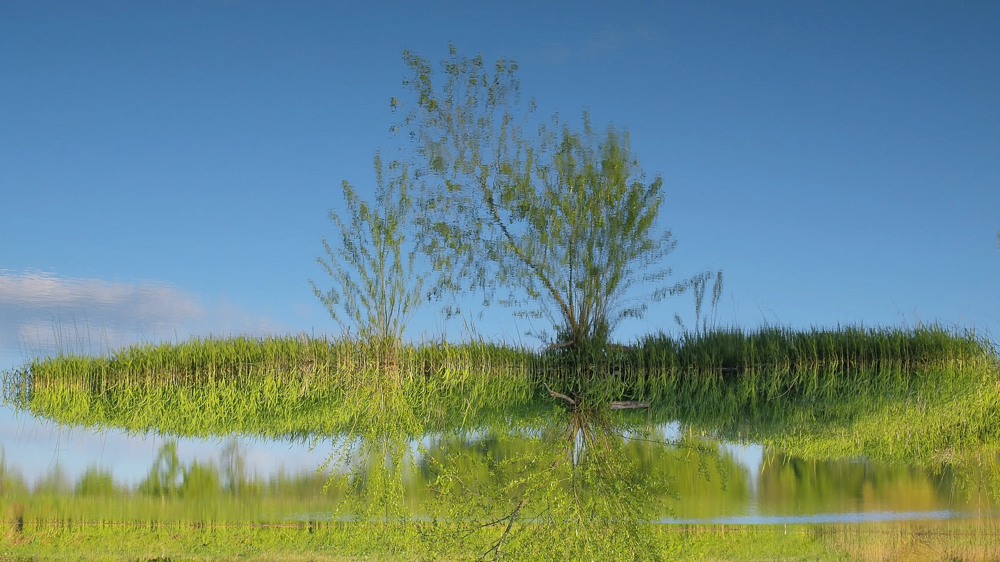 reflection