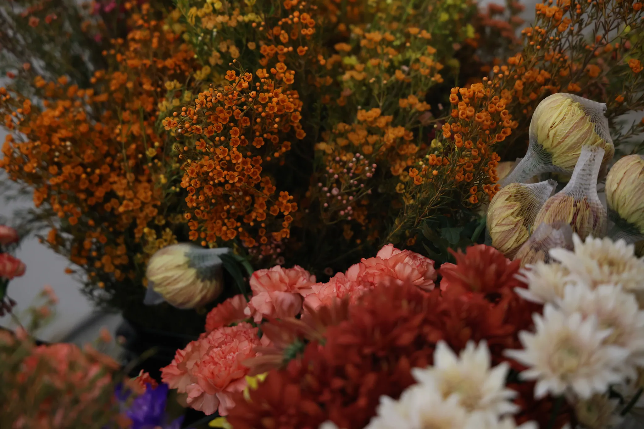Fall Flowers