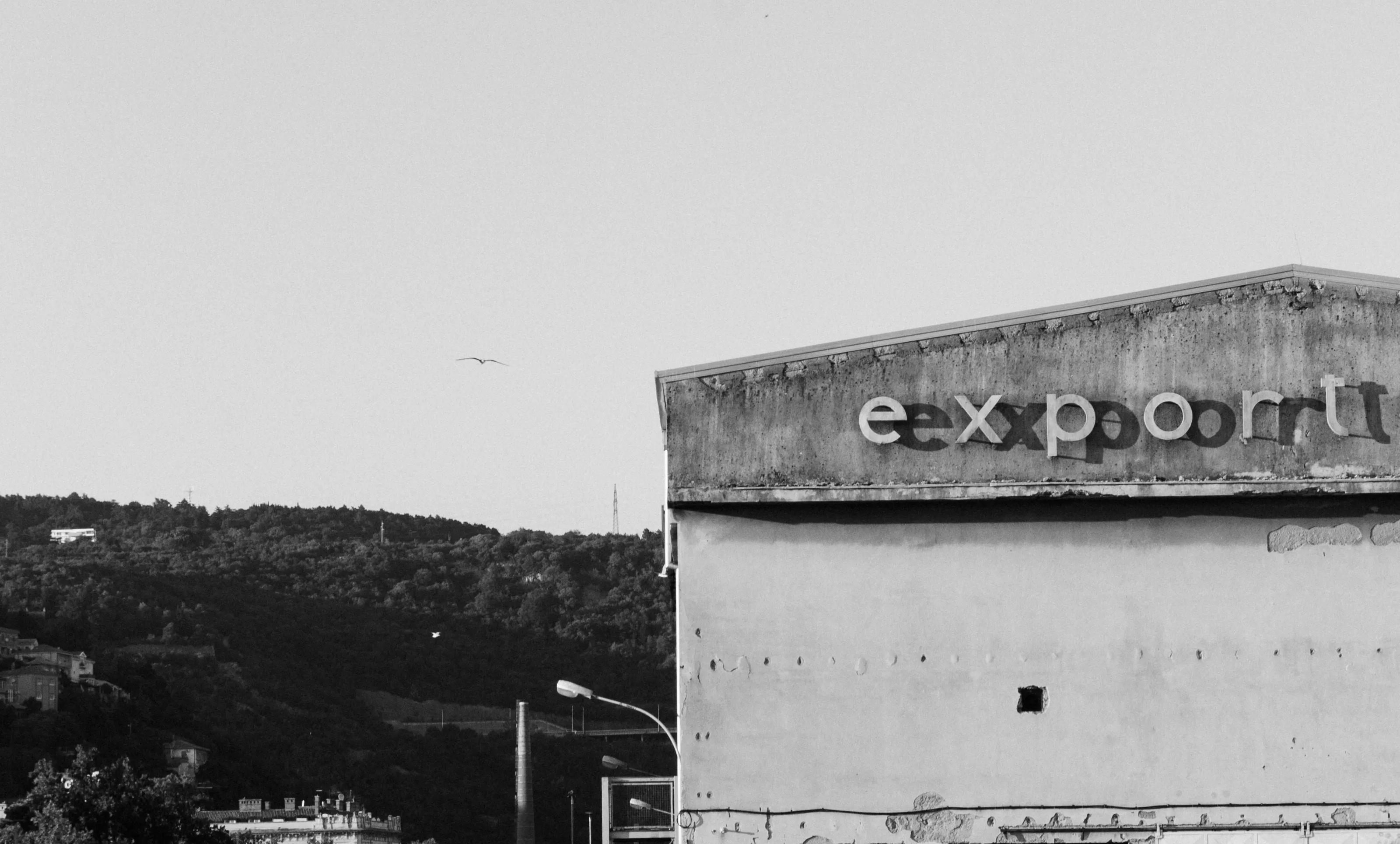 Echoes of Export