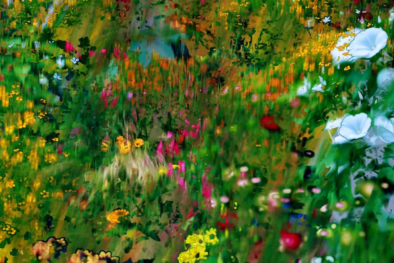 Transformation der Blumen im Augenblick der Betrachtung