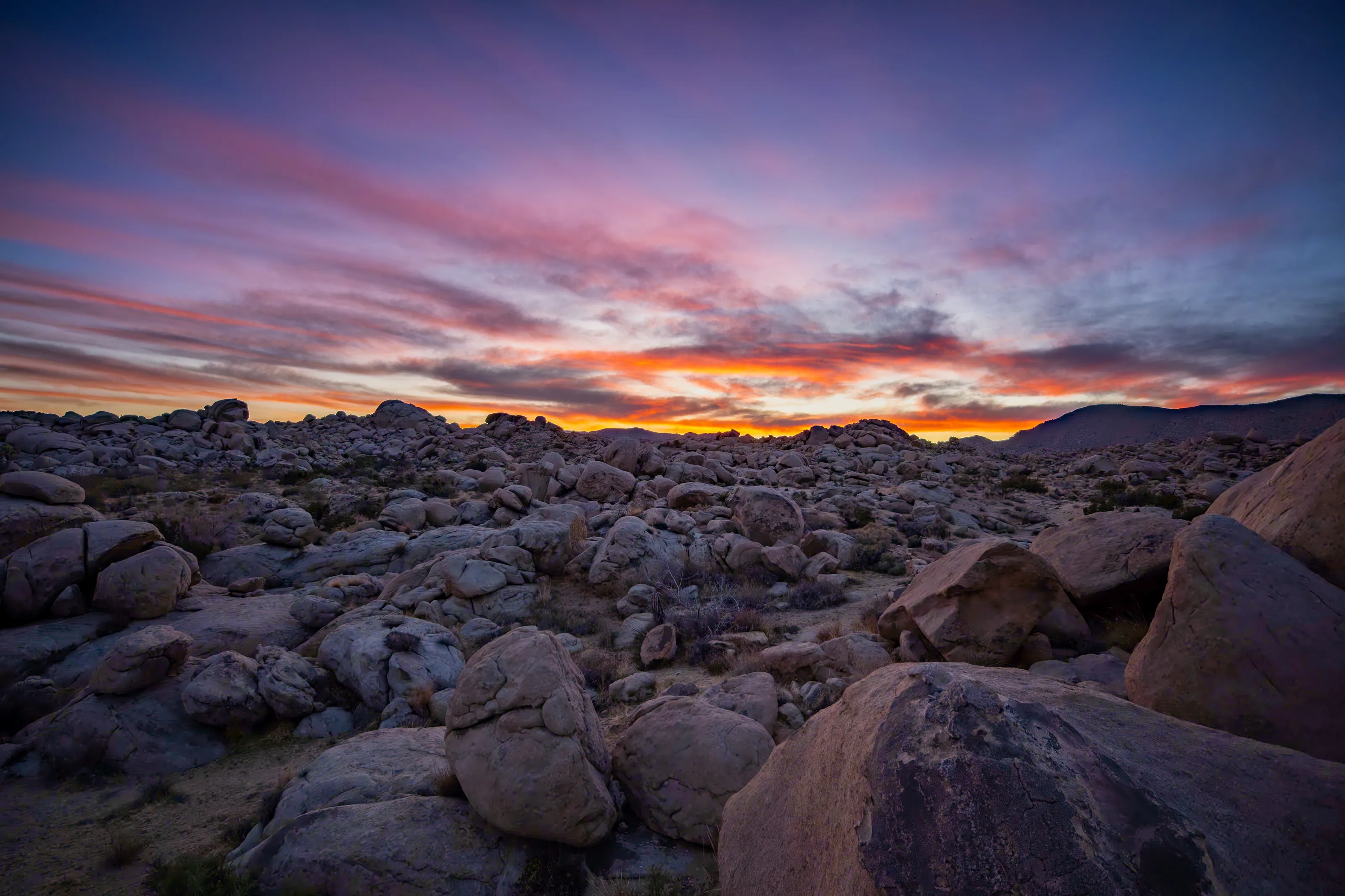 Yucca Valley