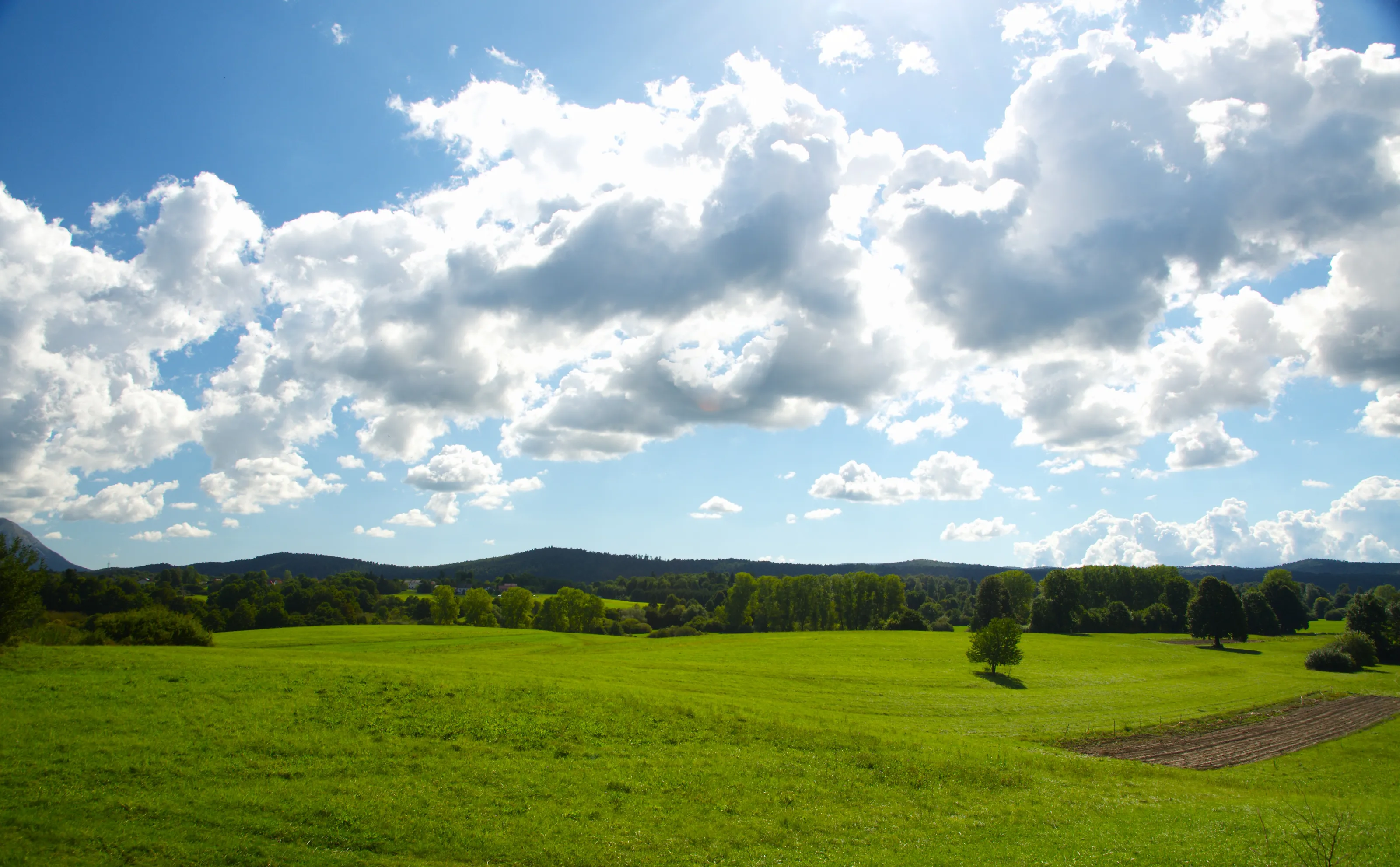 Landscape in summer with dramatic clouds and green grass and trees in background.