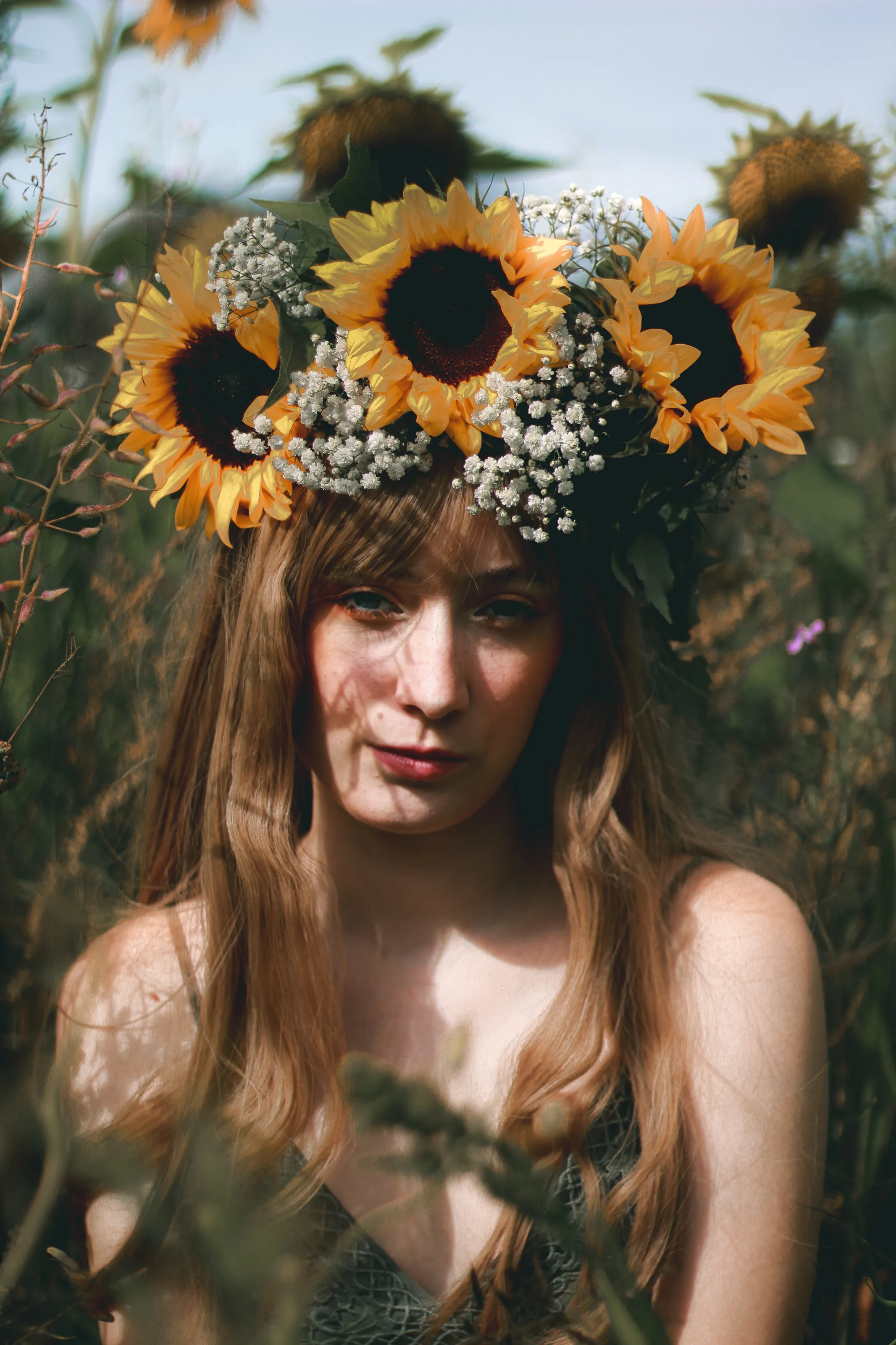 Sunflower dreams