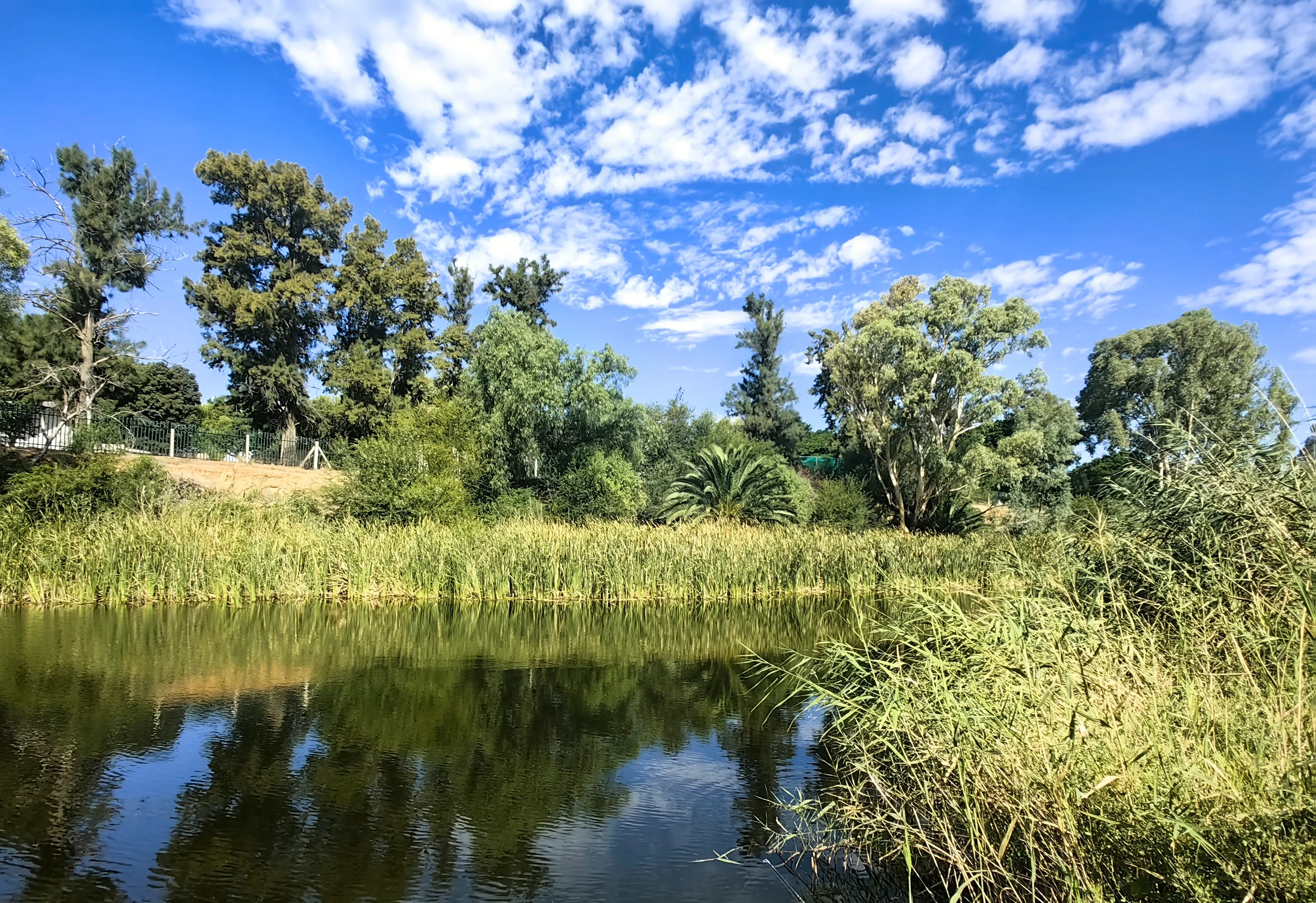 Lake