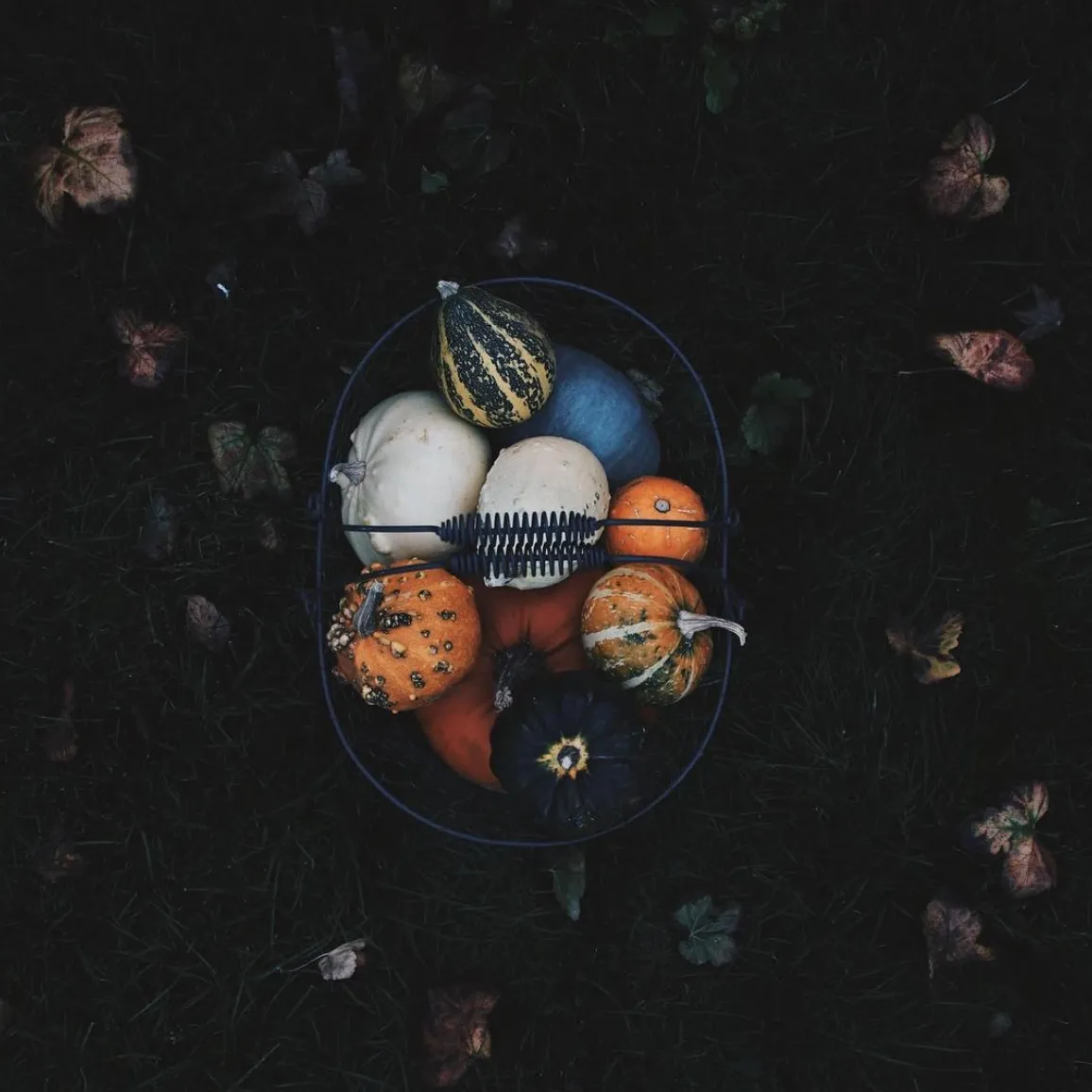 Autumn gifts