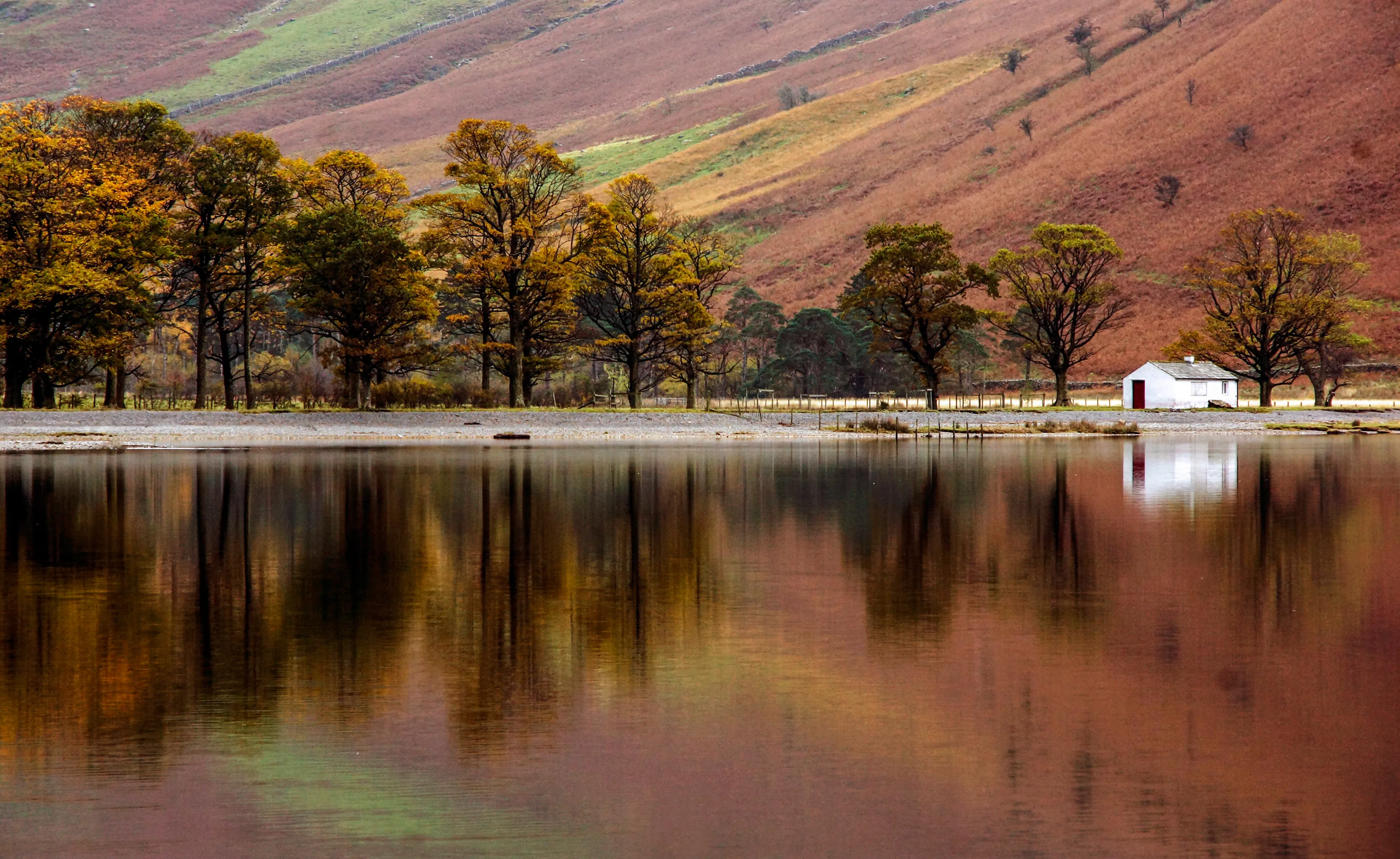 Reflections