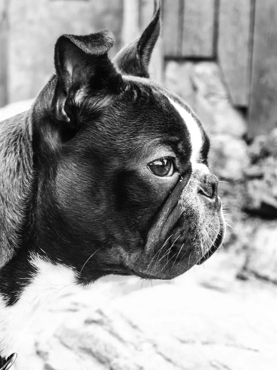 Entry 1576083