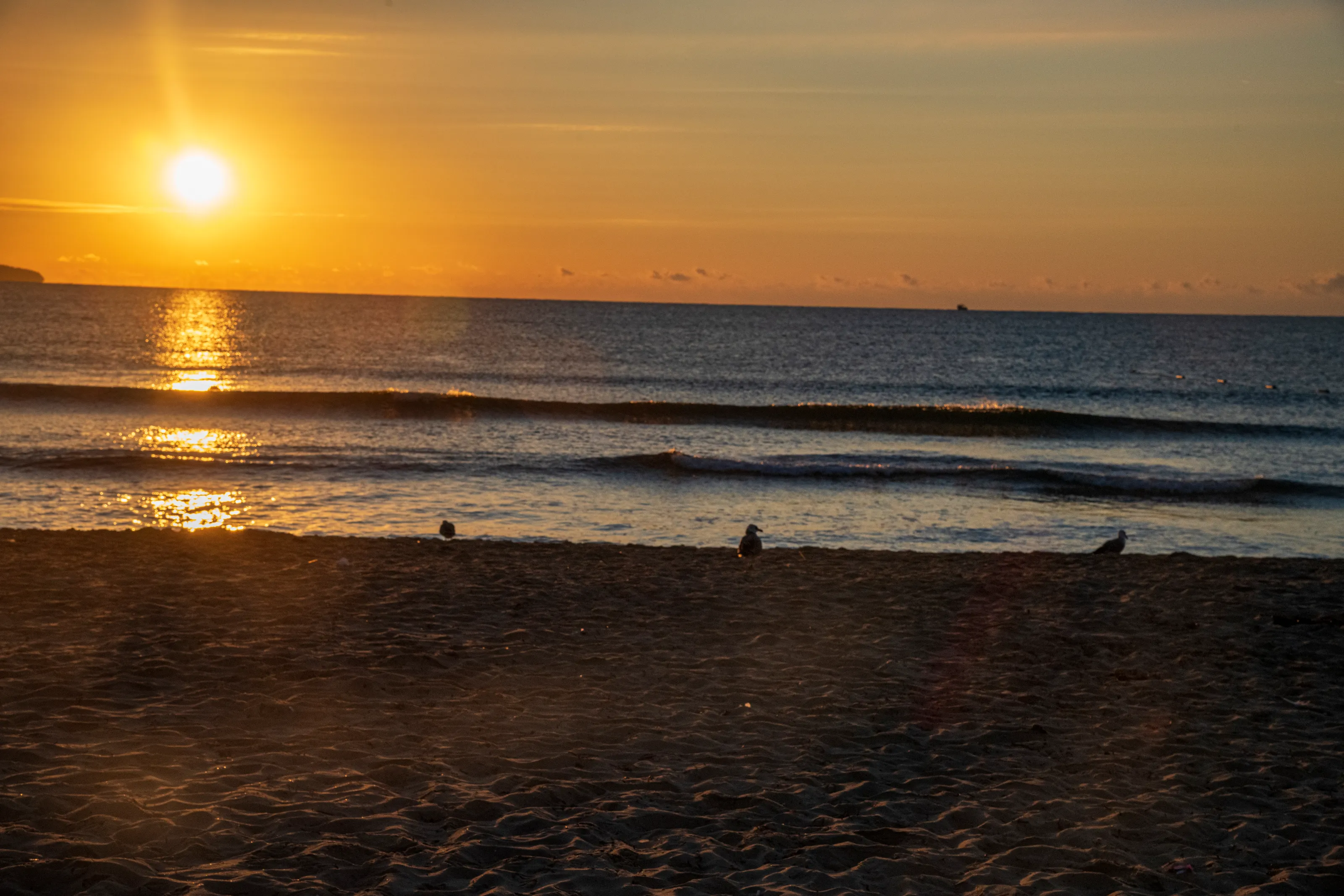 Golden Serenity