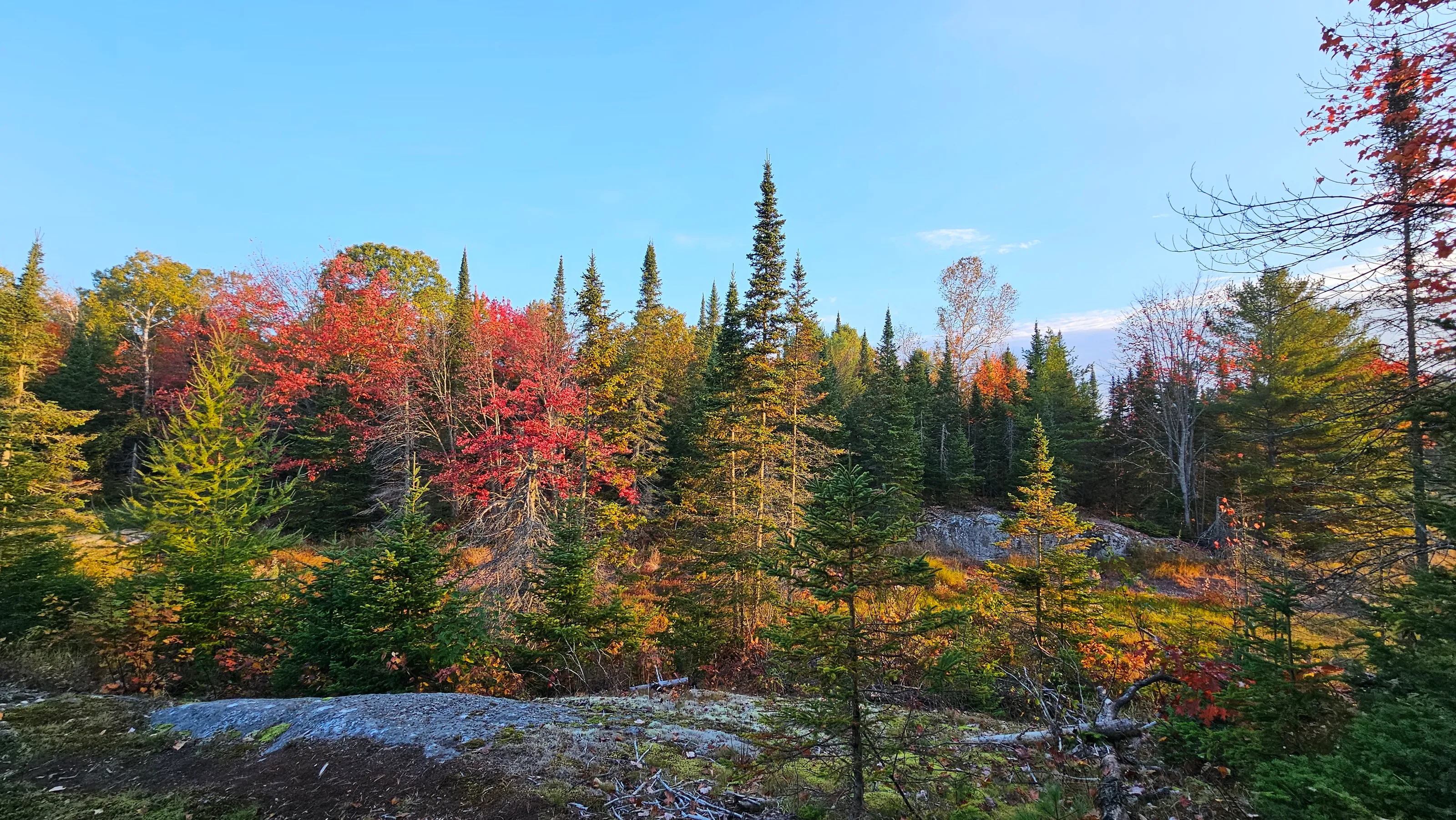 Fall in the North