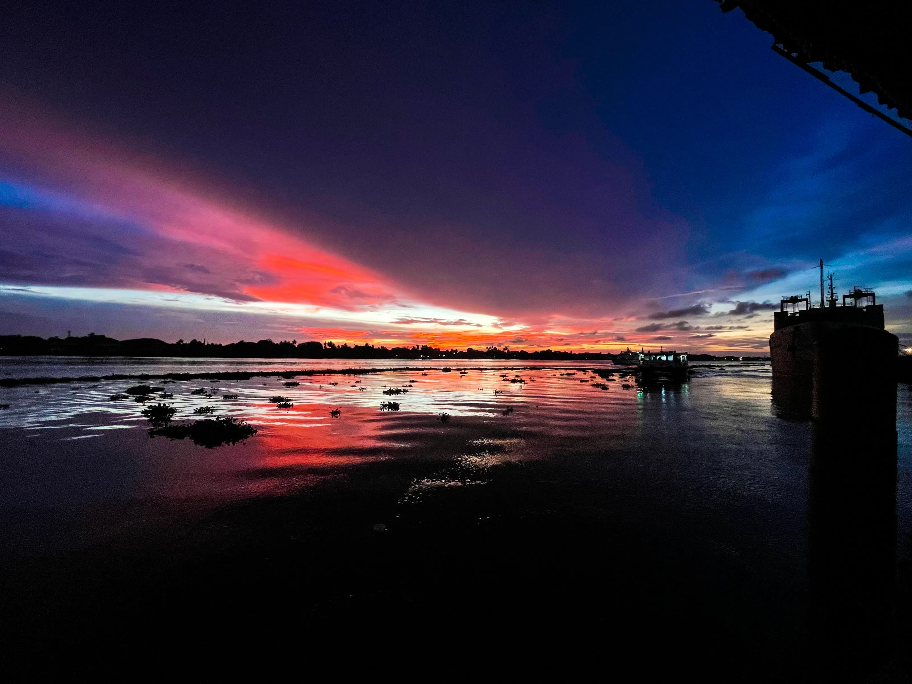 Night taking over natures pallete