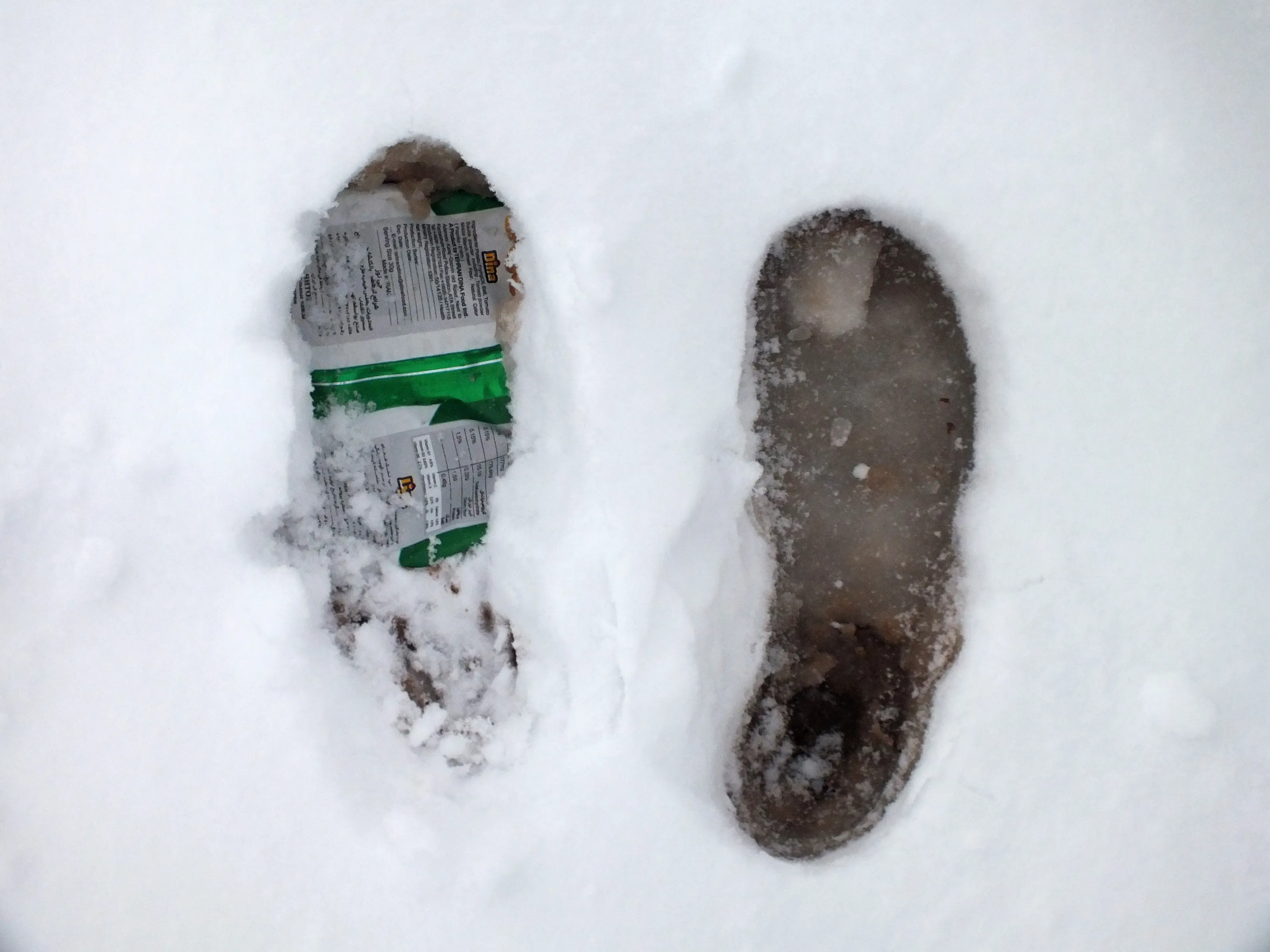 Snow is the balm for the wounds of the earth.
