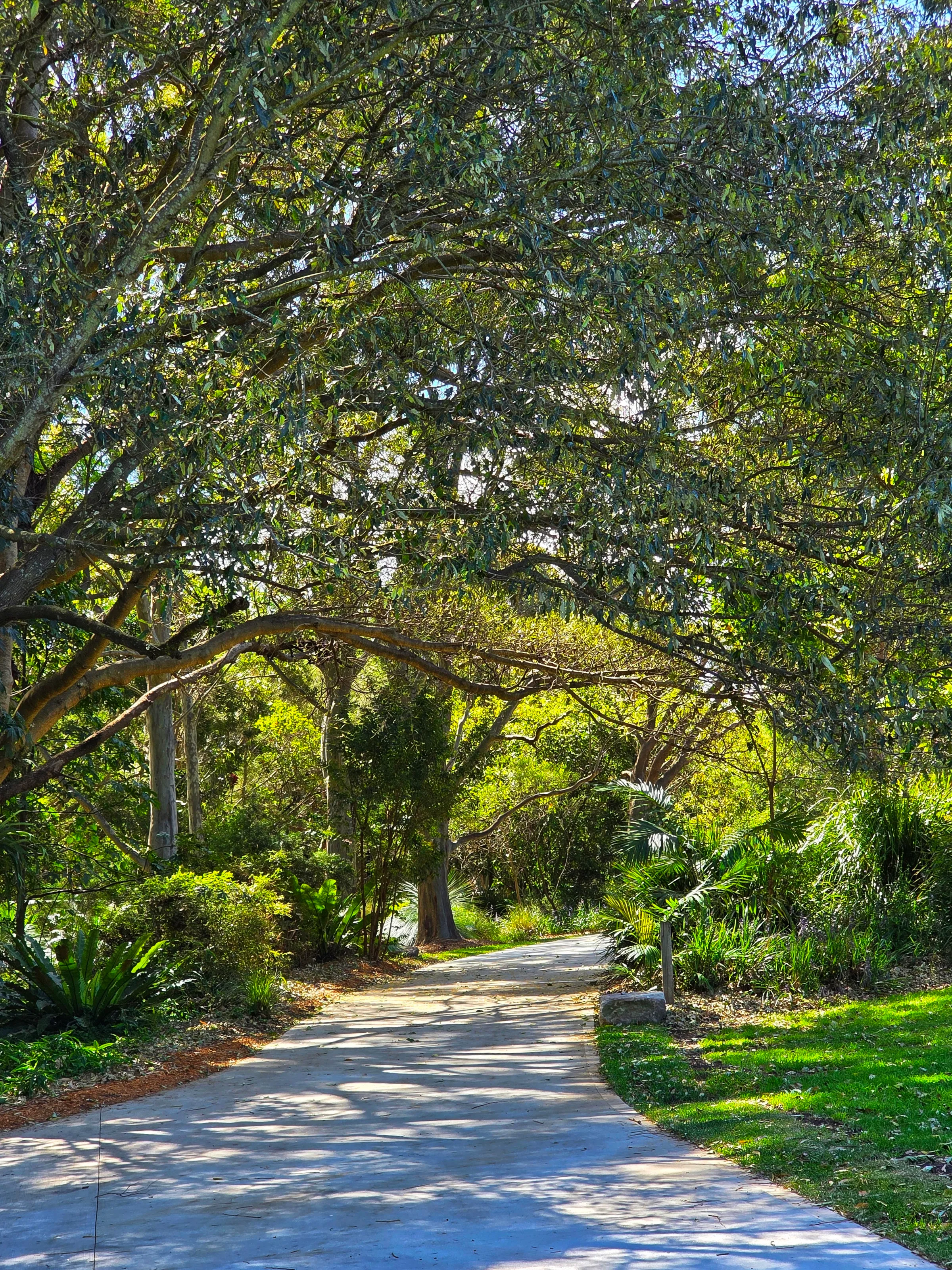 The concrete road