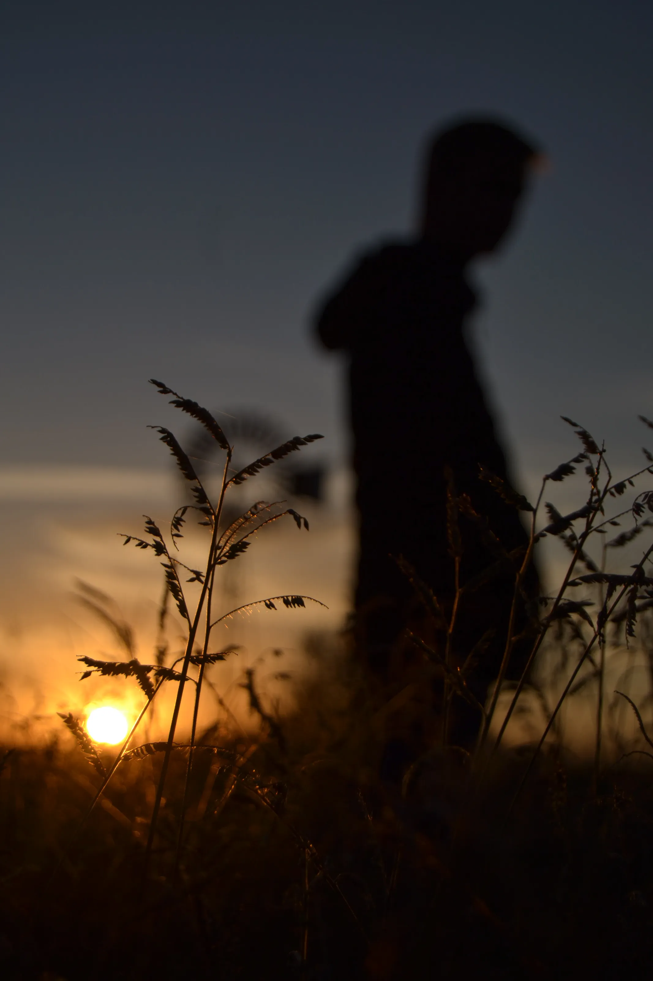Nature Love