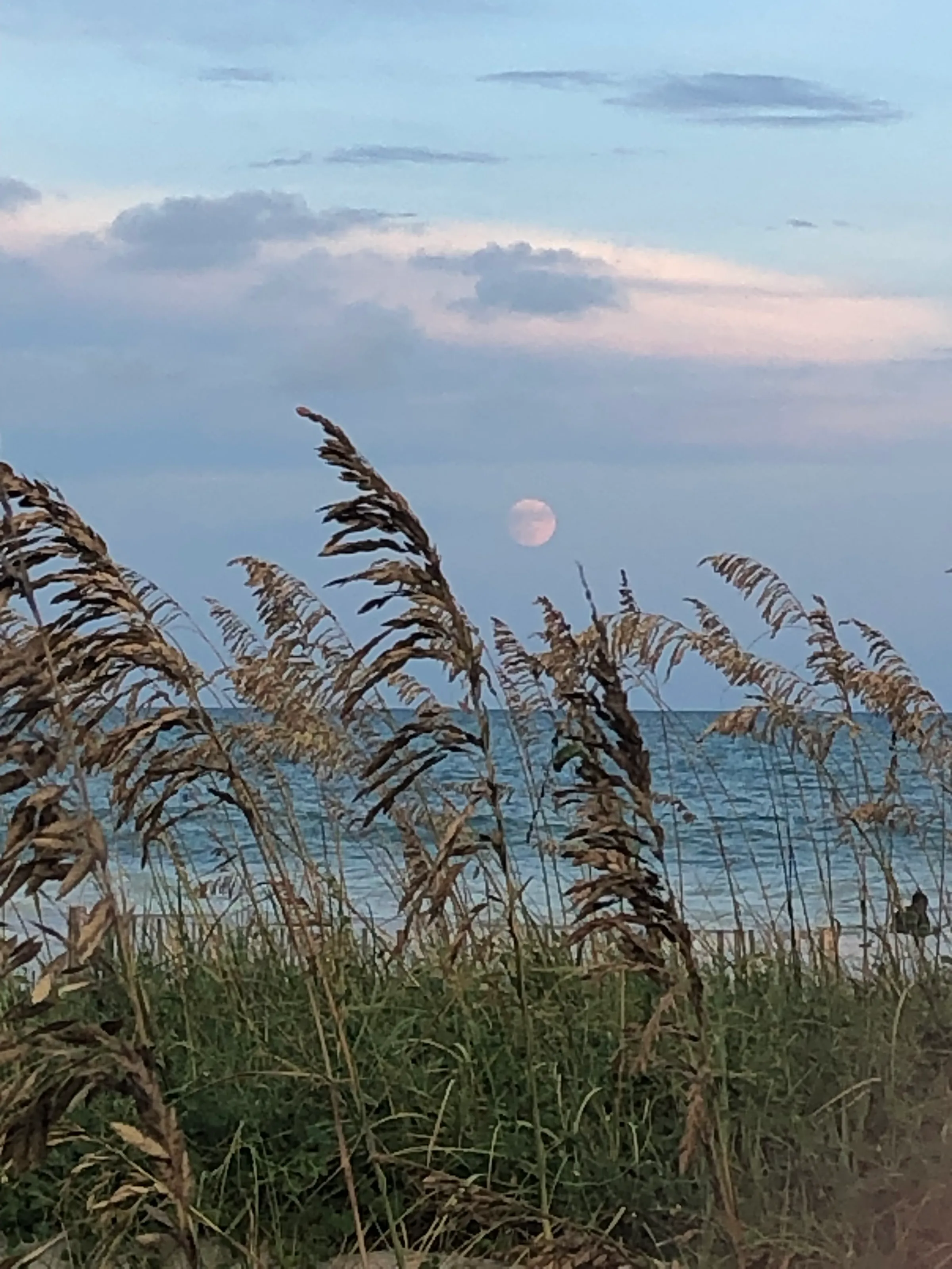 Moonscape over the beach