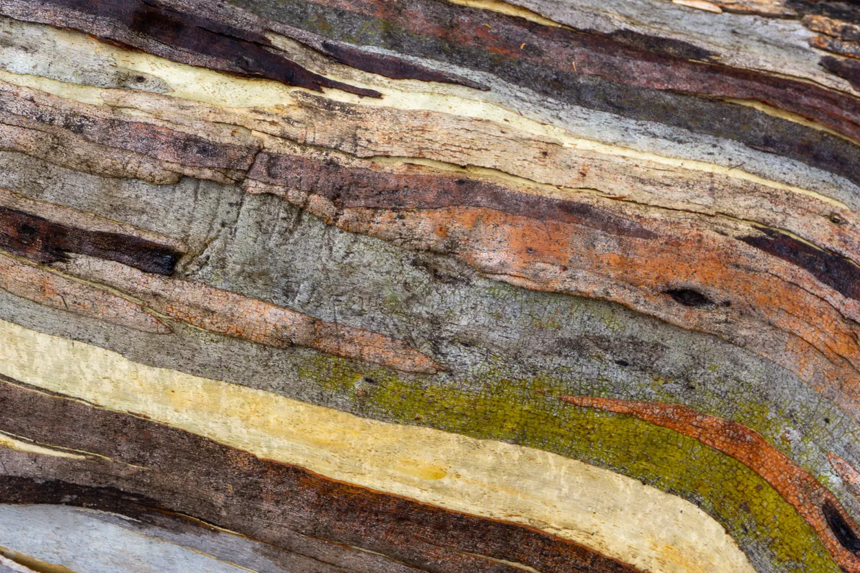 Entry 25821842