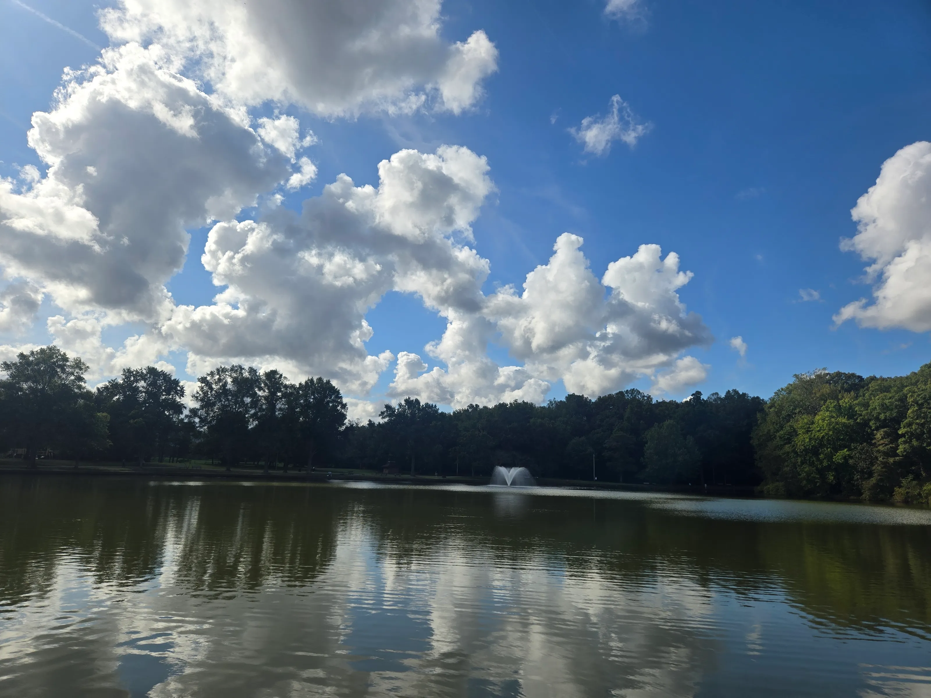Allen's Pond
